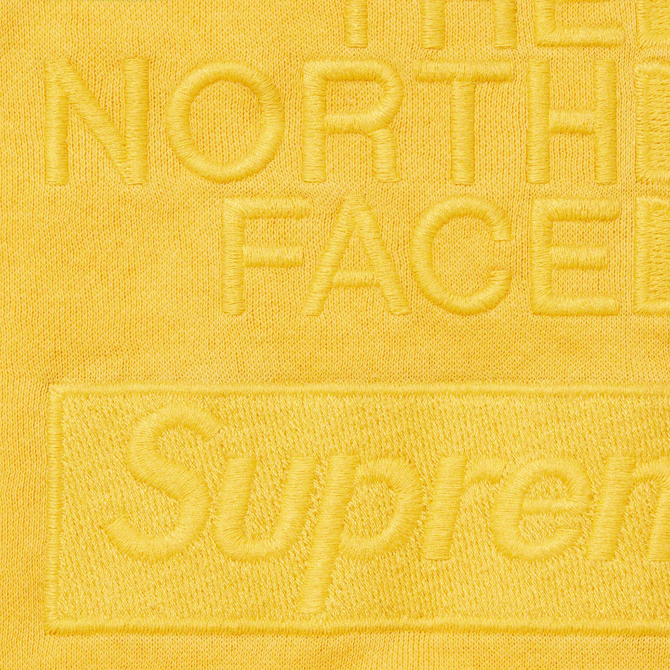Supreme®/The North Face® Pigment Printed Hooded Sweatshirt