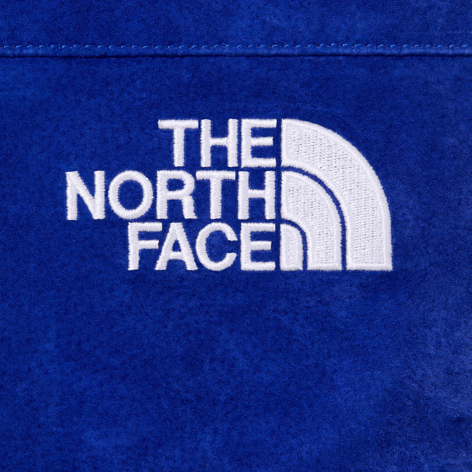 Supreme®/The North Face® Suede Mountain Pant