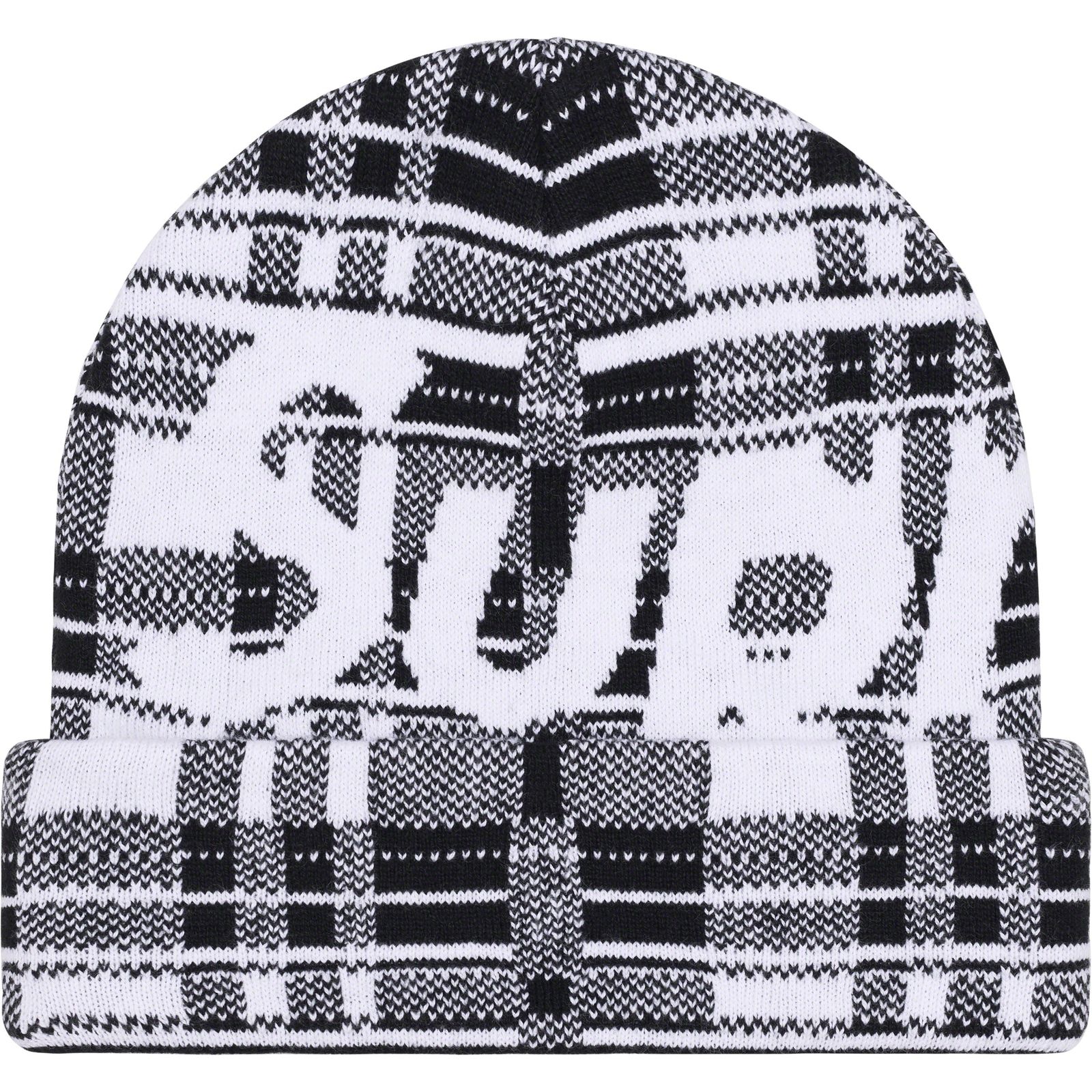 Big Logo Beanie