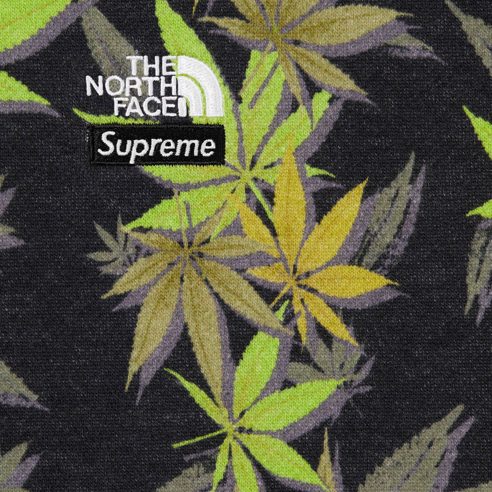 Supreme®/The North Face® Leaf Hooded Sweatshirt