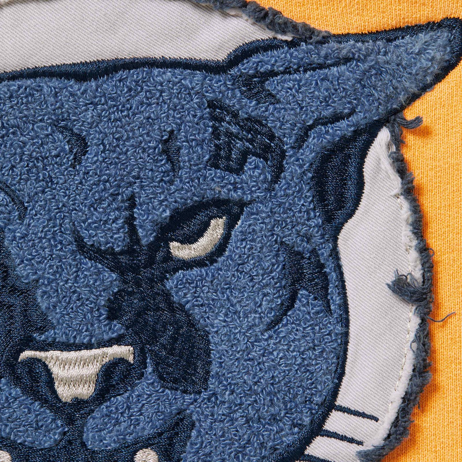 Washed Panther Hooded Sweatshirt