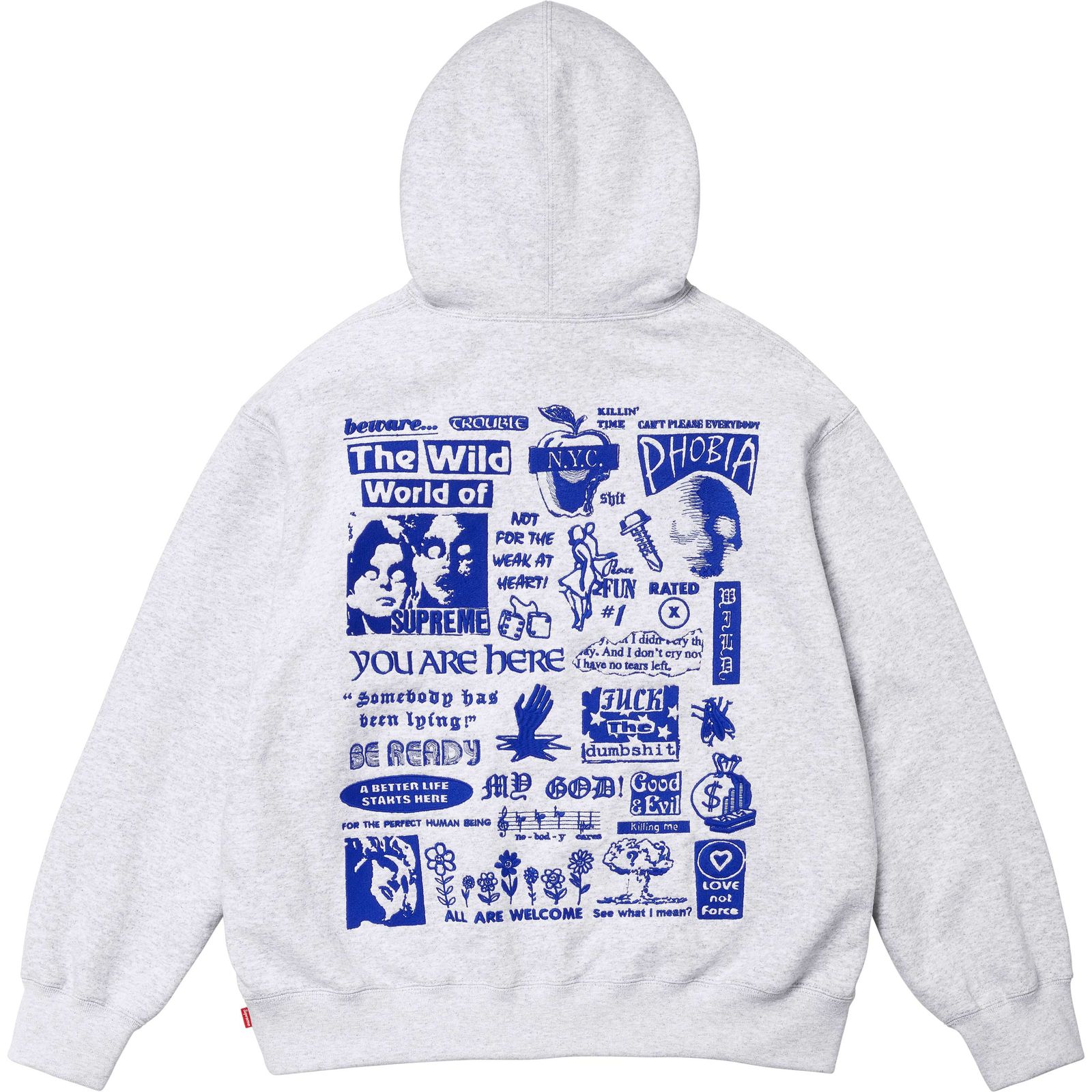 Wild Embroidered Hooded Sweatshirt