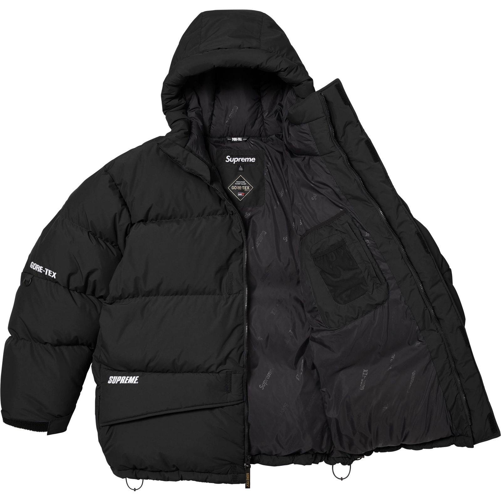 GORE-TEX 900-Fill Down Parka