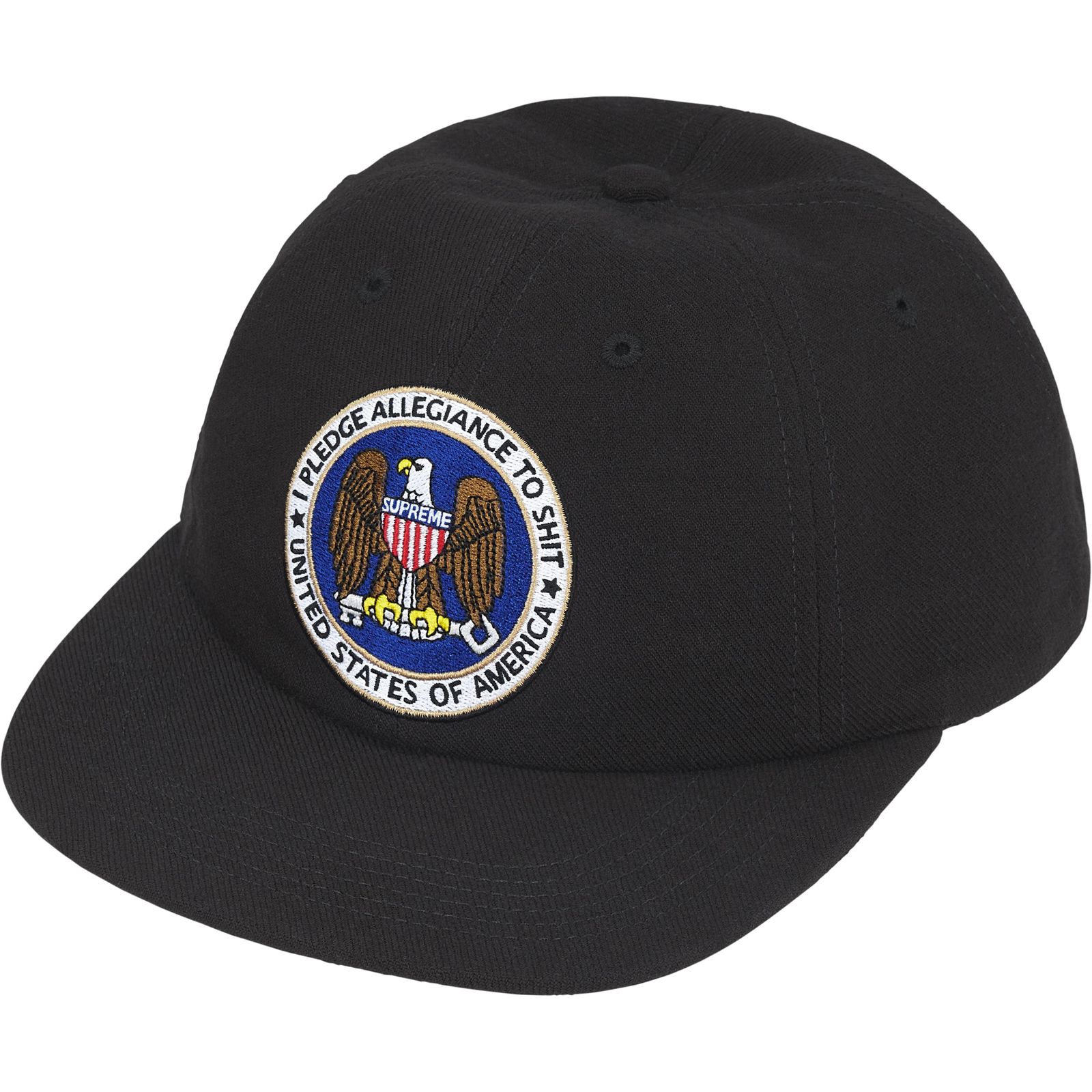 Pledge Allegiance 6-Panel
