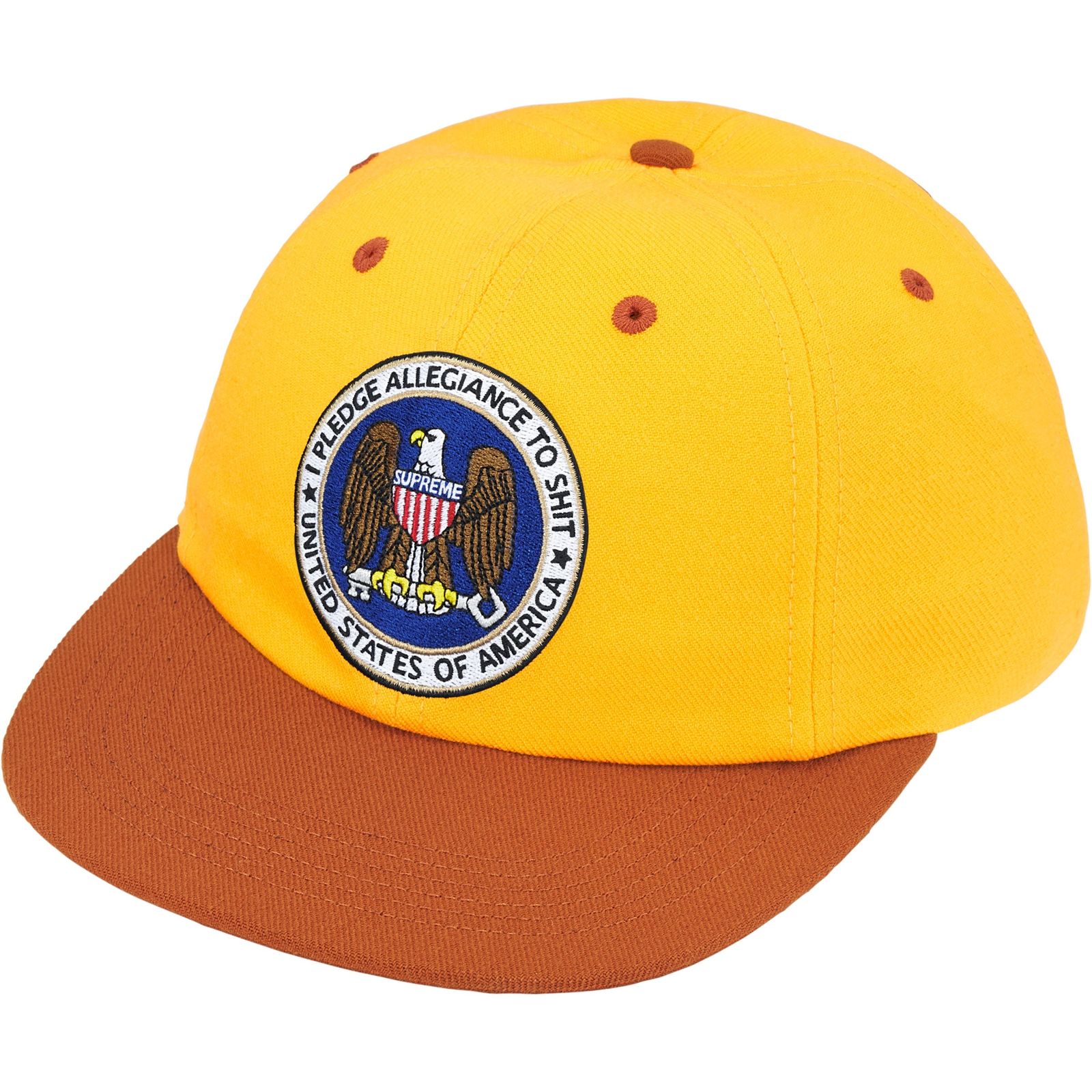 Pledge Allegiance 6-Panel