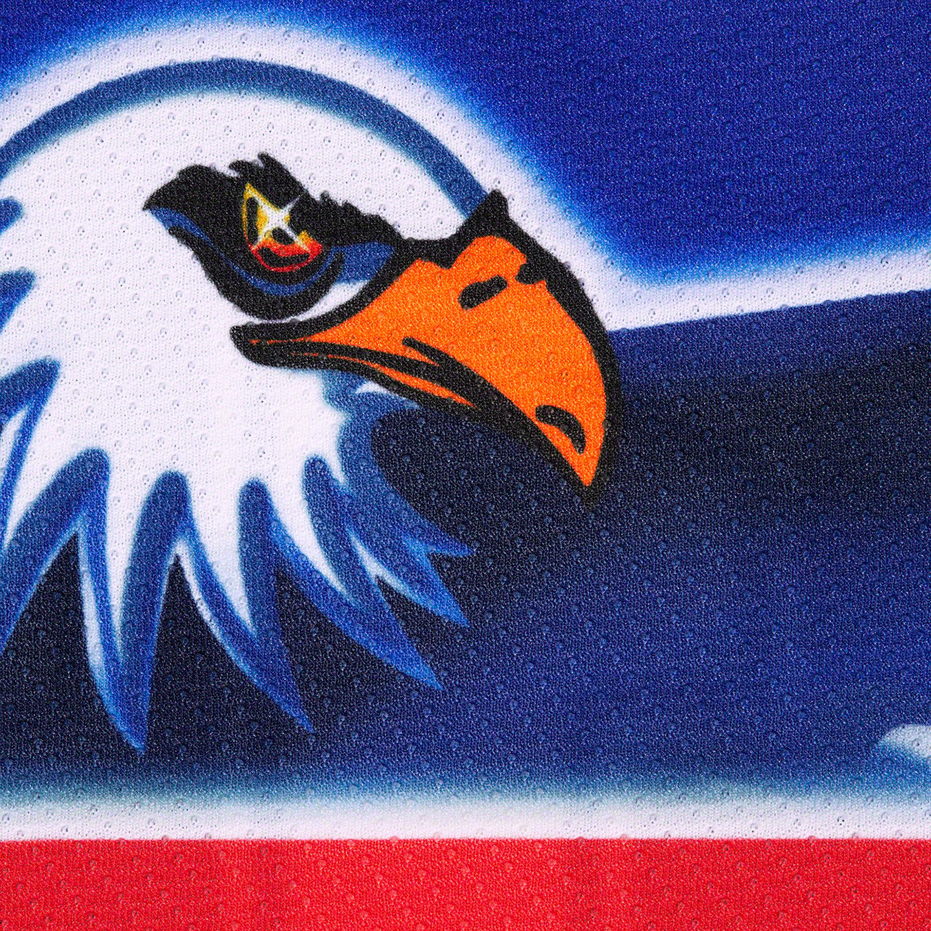 Eagle Hockey Jersey