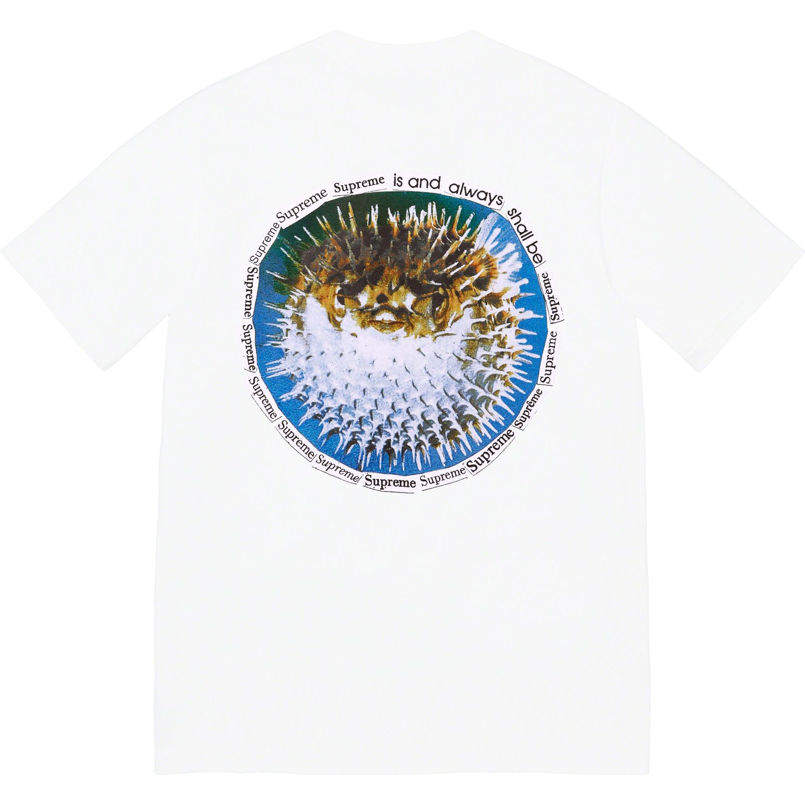 Blowfish Tee
