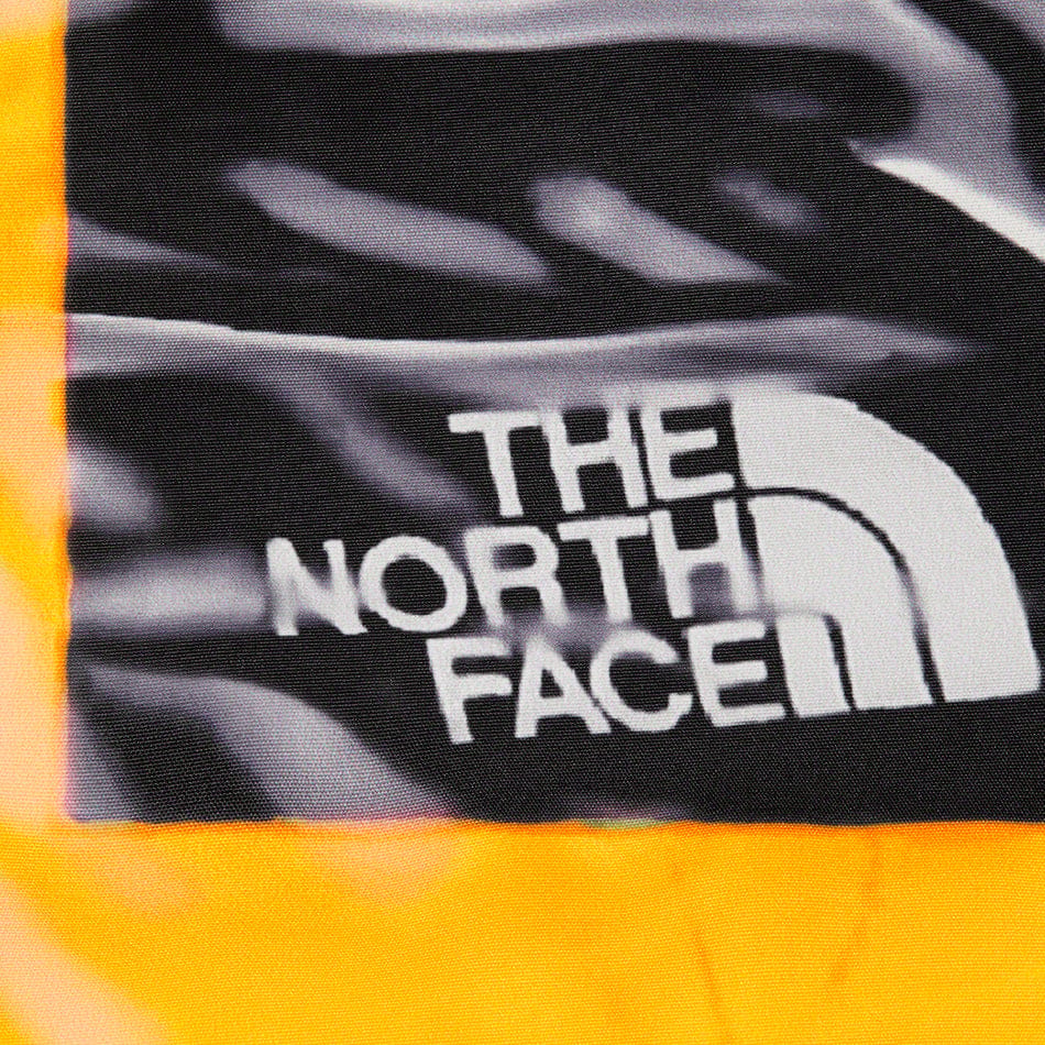 Supreme®/The North Face® Trompe L’oeil Printed Taped Seam Shell Jacket