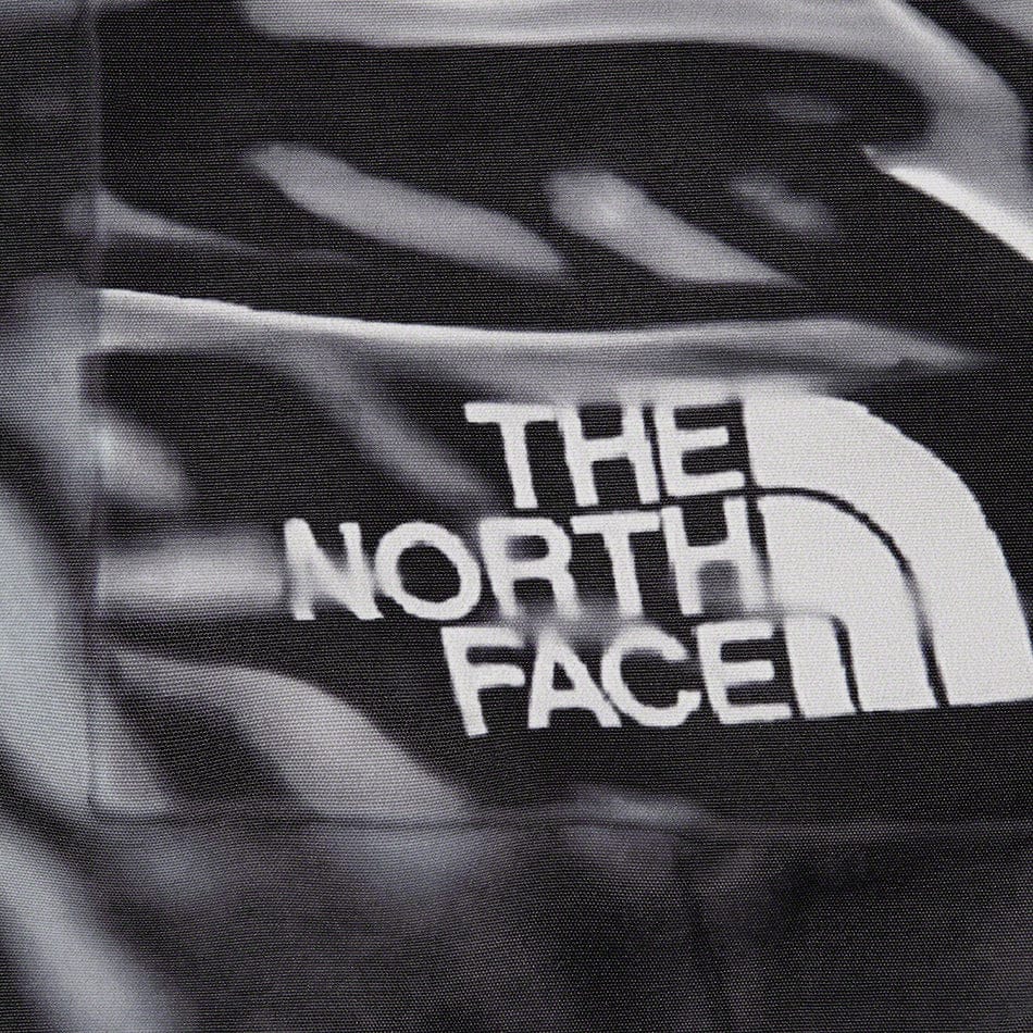 Supreme®/The North Face® Trompe L’oeil Printed Taped Seam Shell Jacket