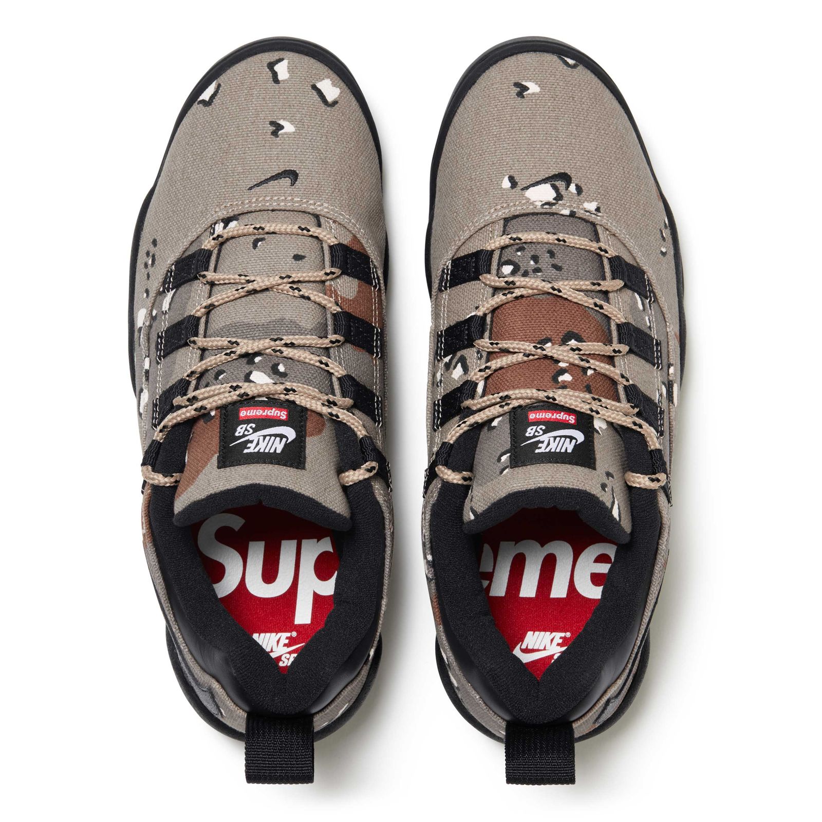 Supreme®/Nike SB Darwin Low