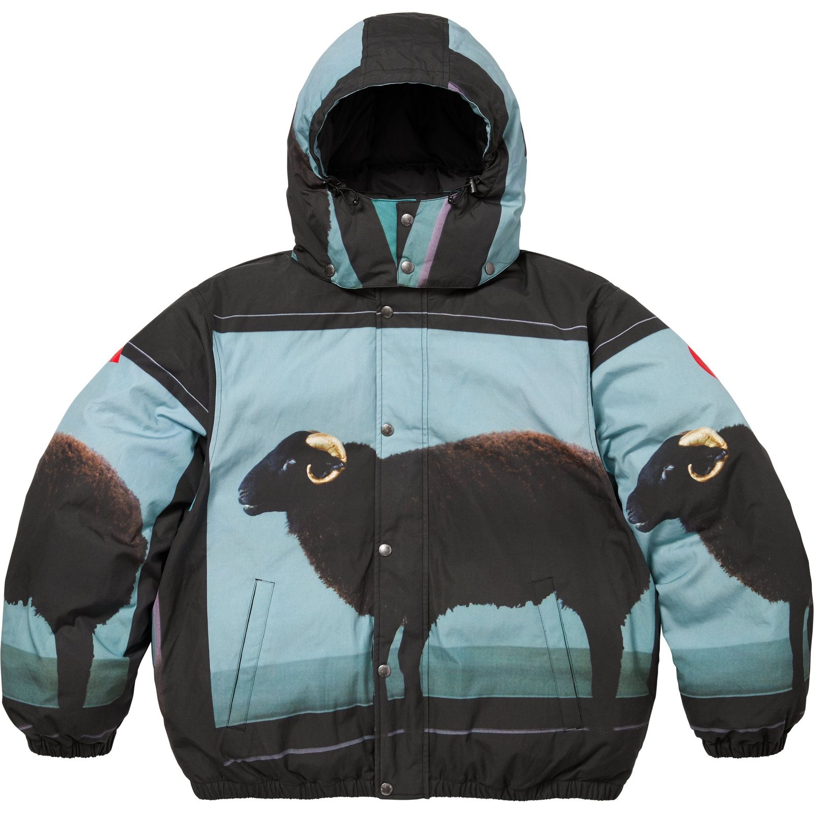 Supreme/Damien Hirst Down Puffer Jacket
