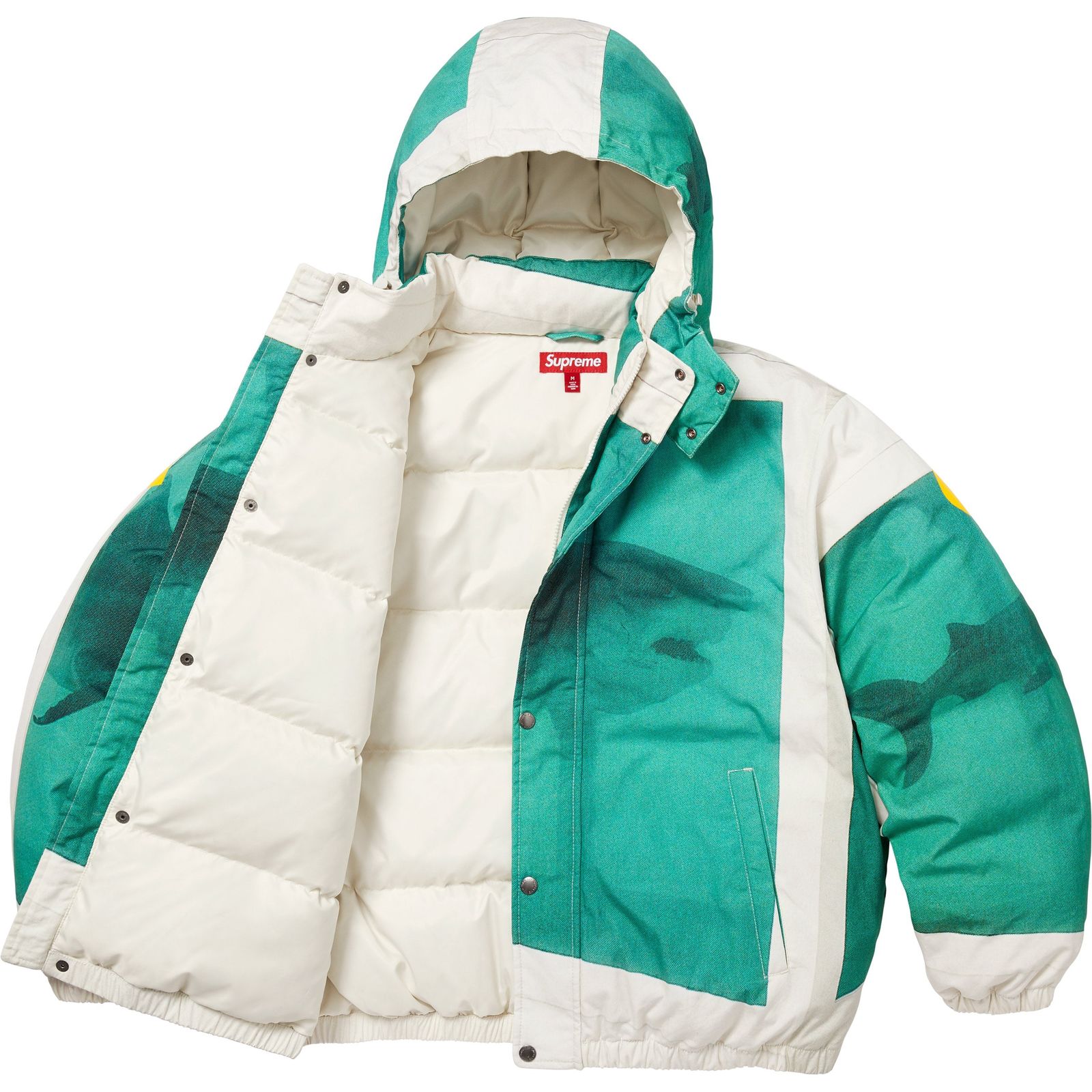 Supreme/Damien Hirst Down Puffer Jacket