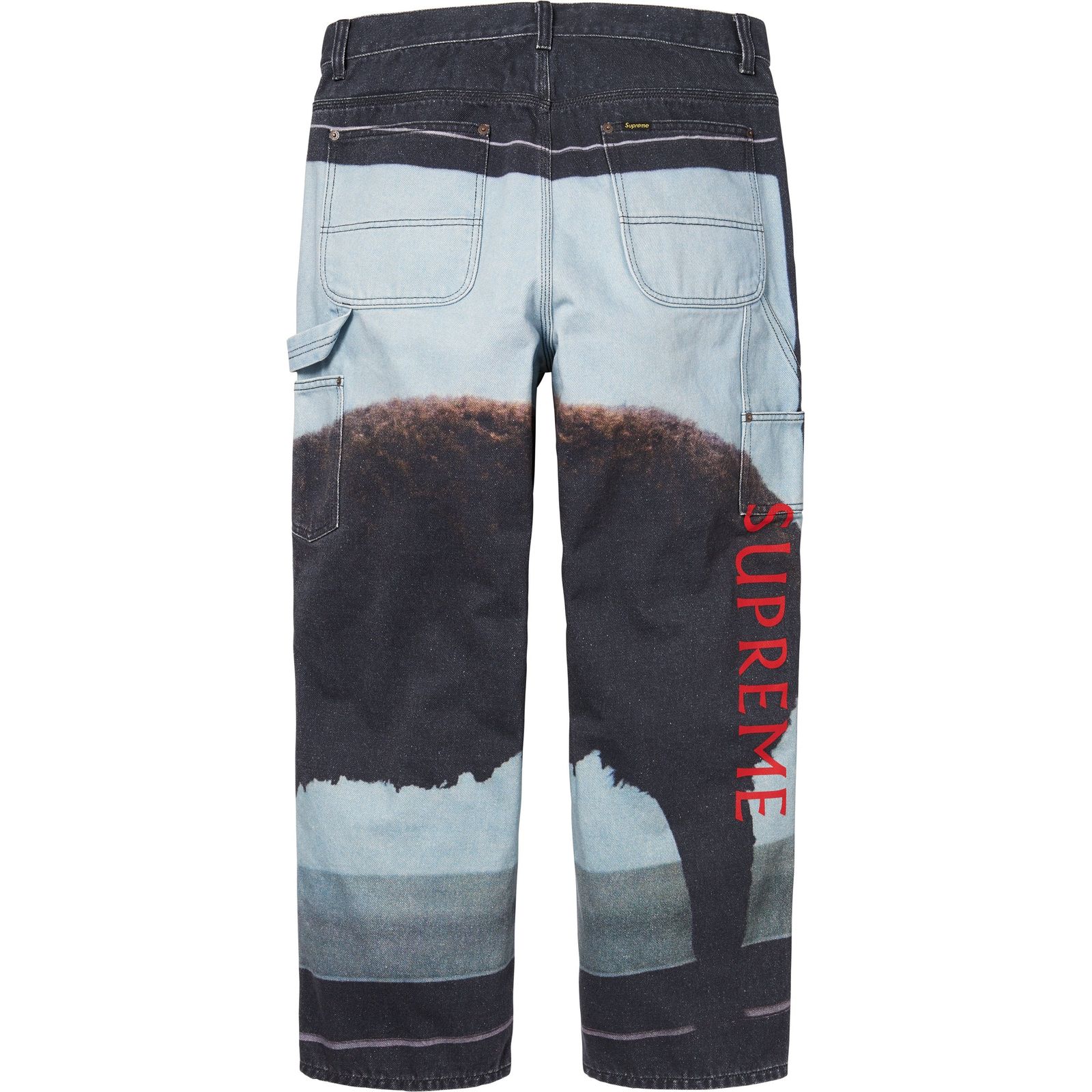 Supreme/Damien Hirst Painter Jean