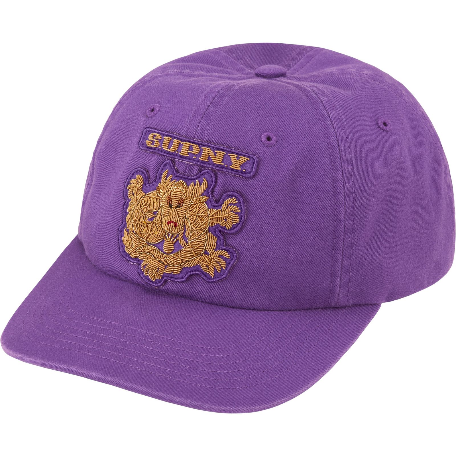 Bullion Dragon 6-Panel