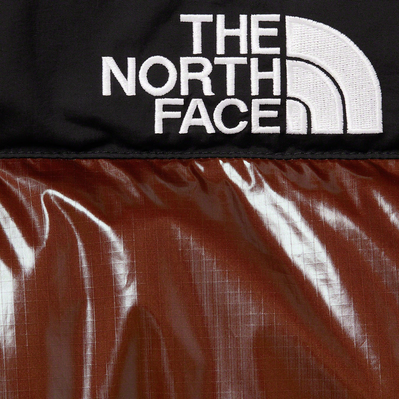 Supreme®/The North Face® 700-Fill Down Parka