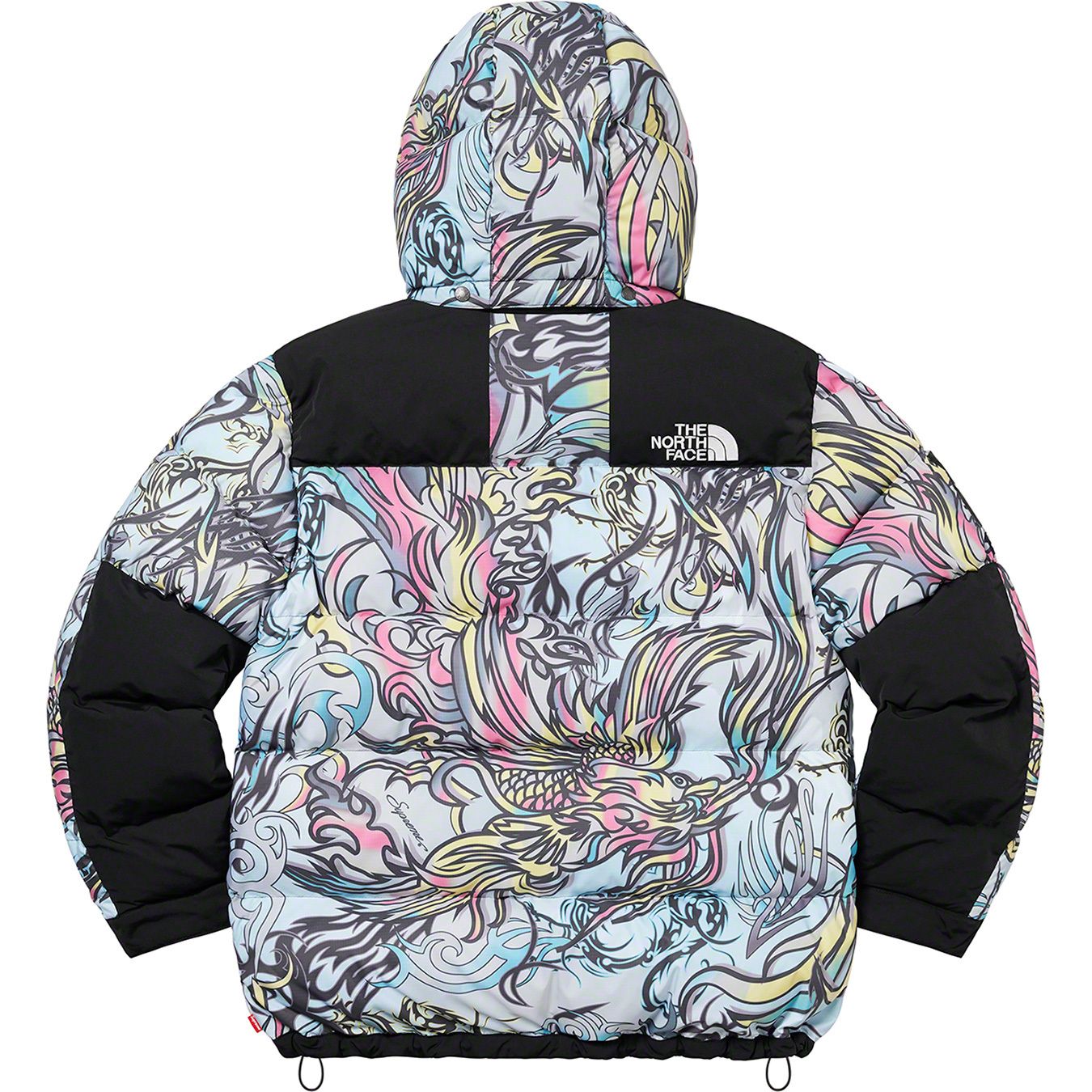 Supreme®/The North Face® 700-Fill Down Parka