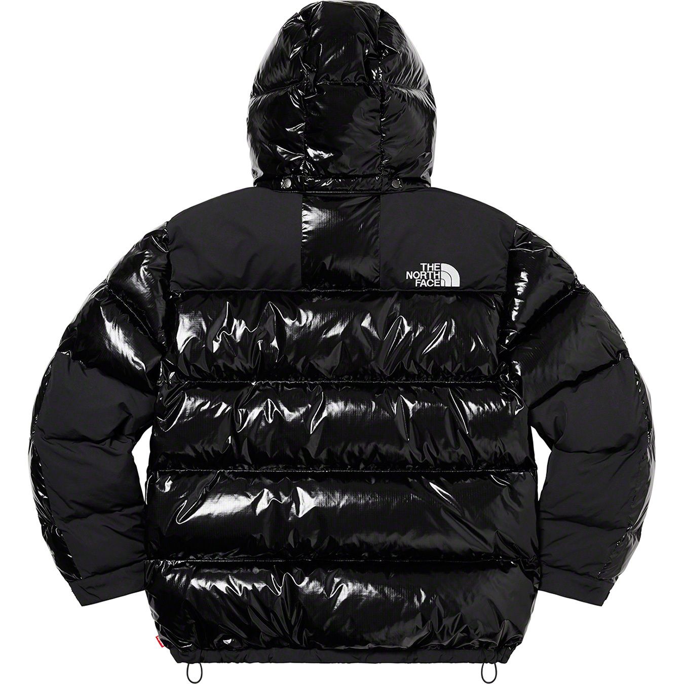 Supreme®/The North Face® 700-Fill Down Parka