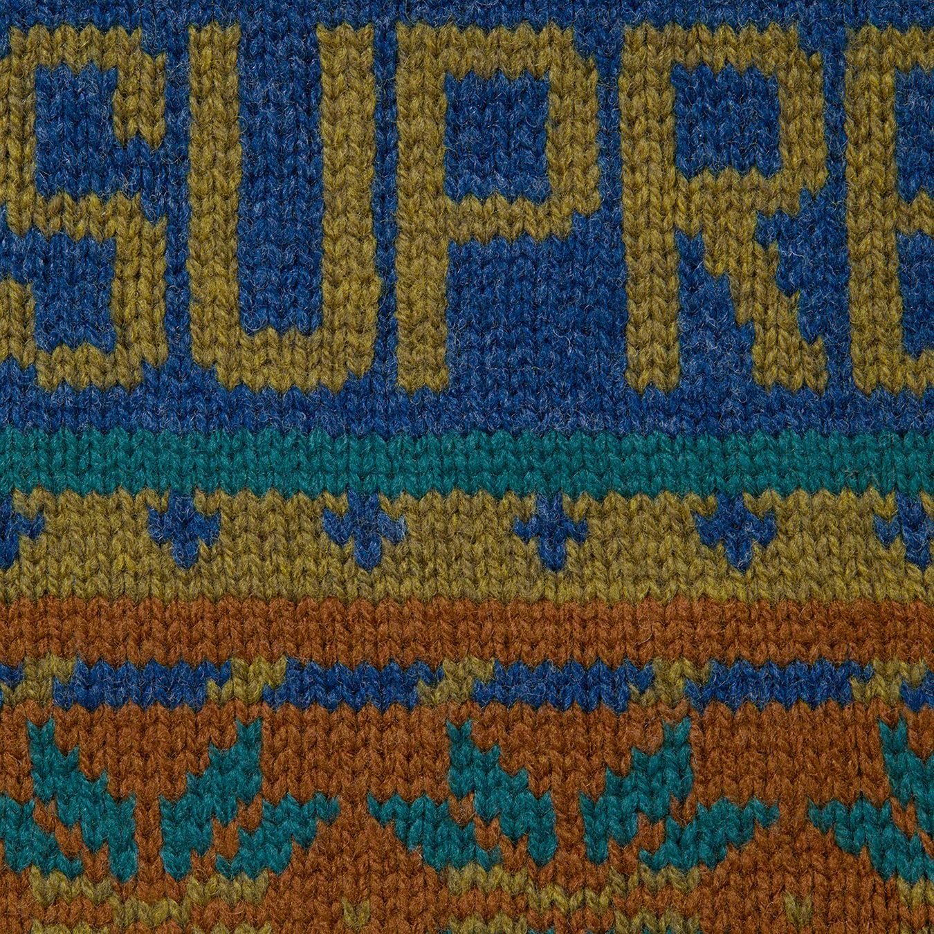 Supreme®/The North Face® Zip Up Hooded Sweater