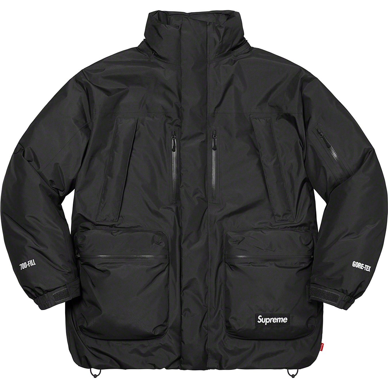 GORE-TEX 700-Fill Down Parka