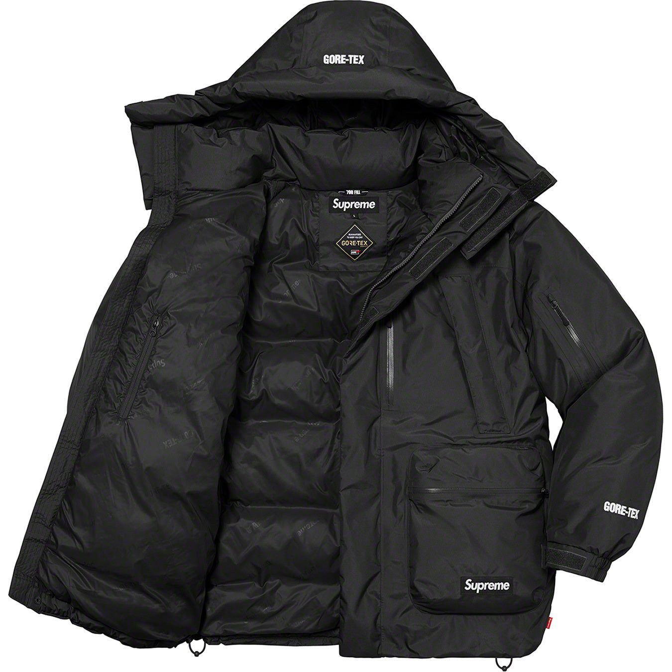 GORE-TEX 700-Fill Down Parka
