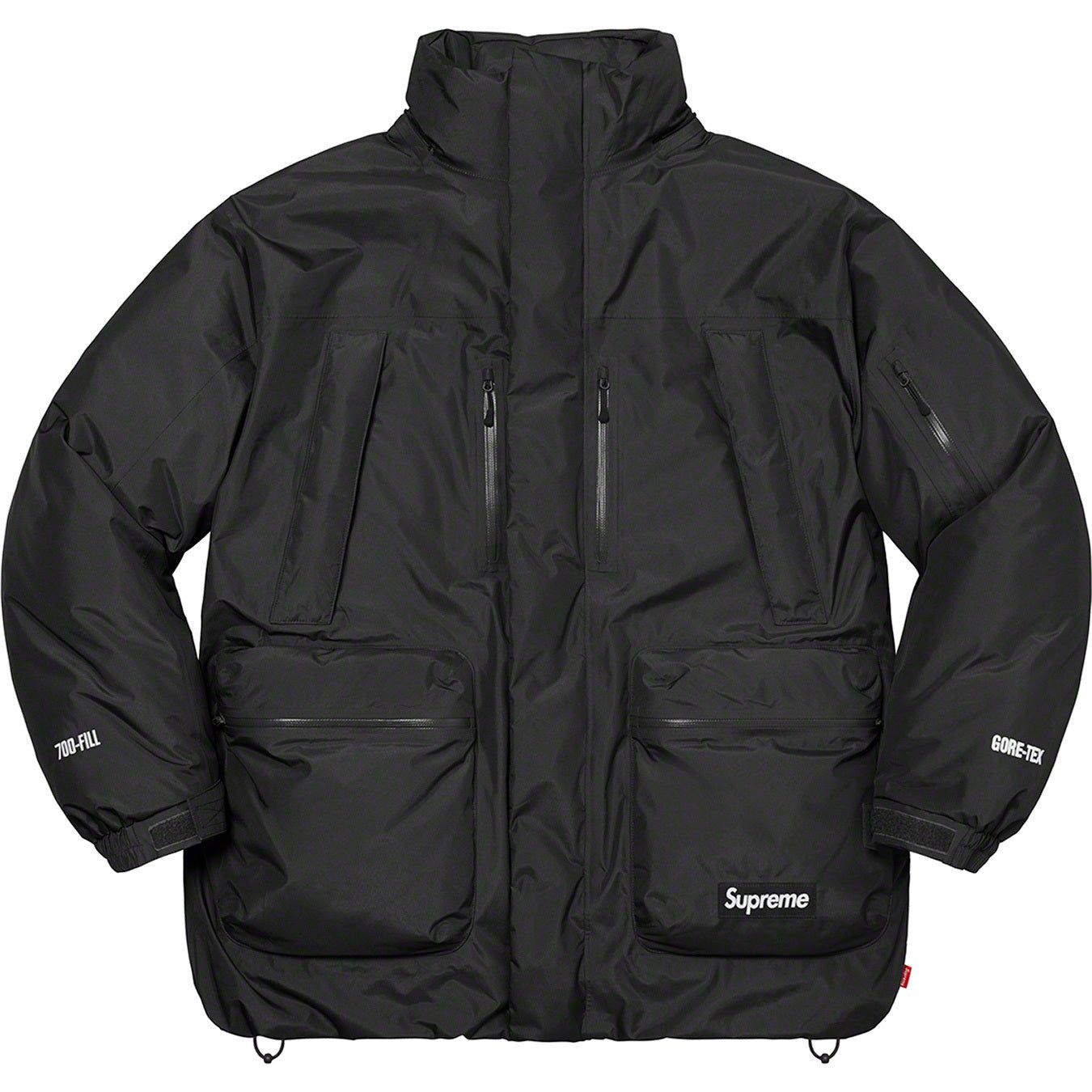 GORE-TEX 700-Fill Down Parka