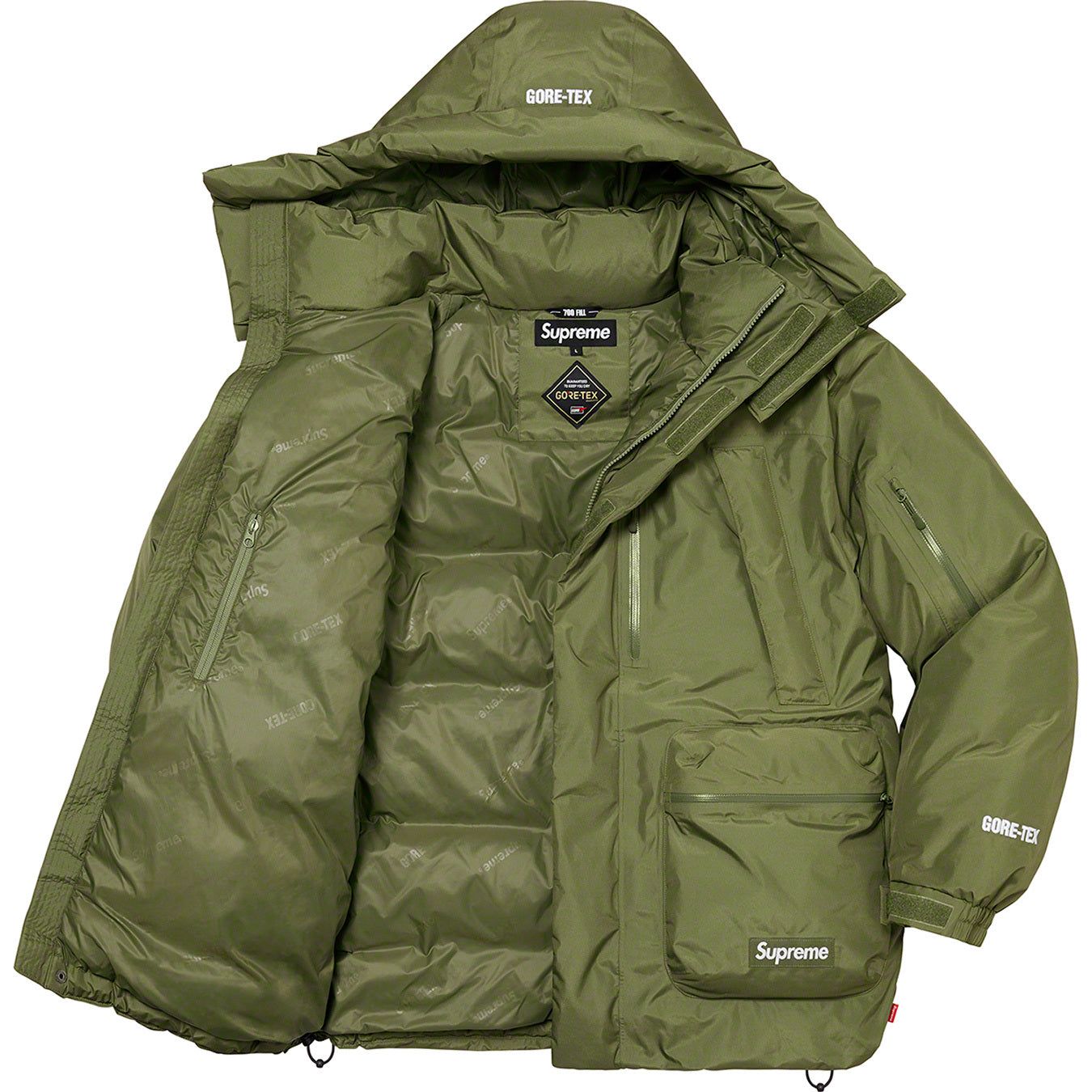 GORE-TEX 700-Fill Down Parka
