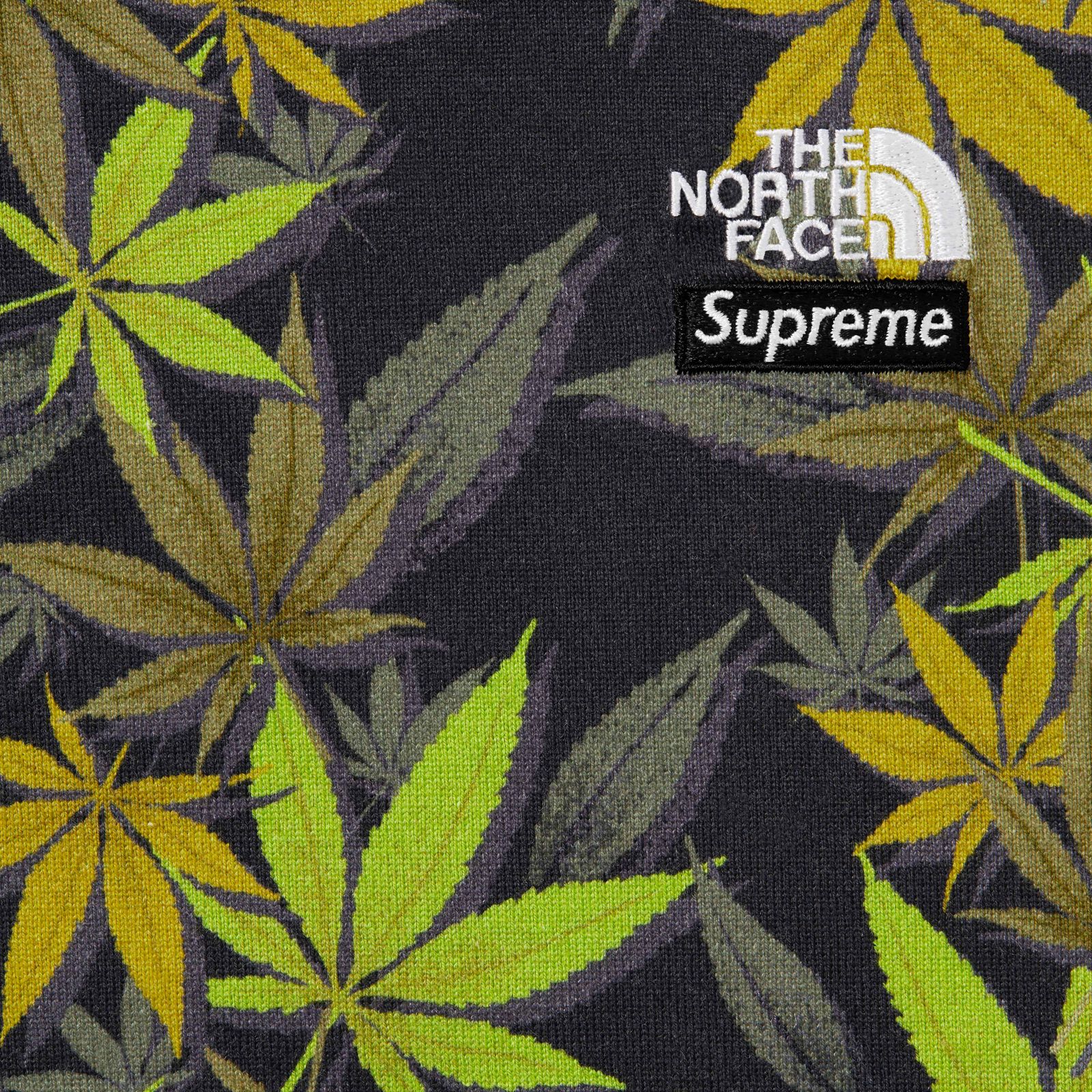 Supreme®/The North Face® Leaf S/S Top