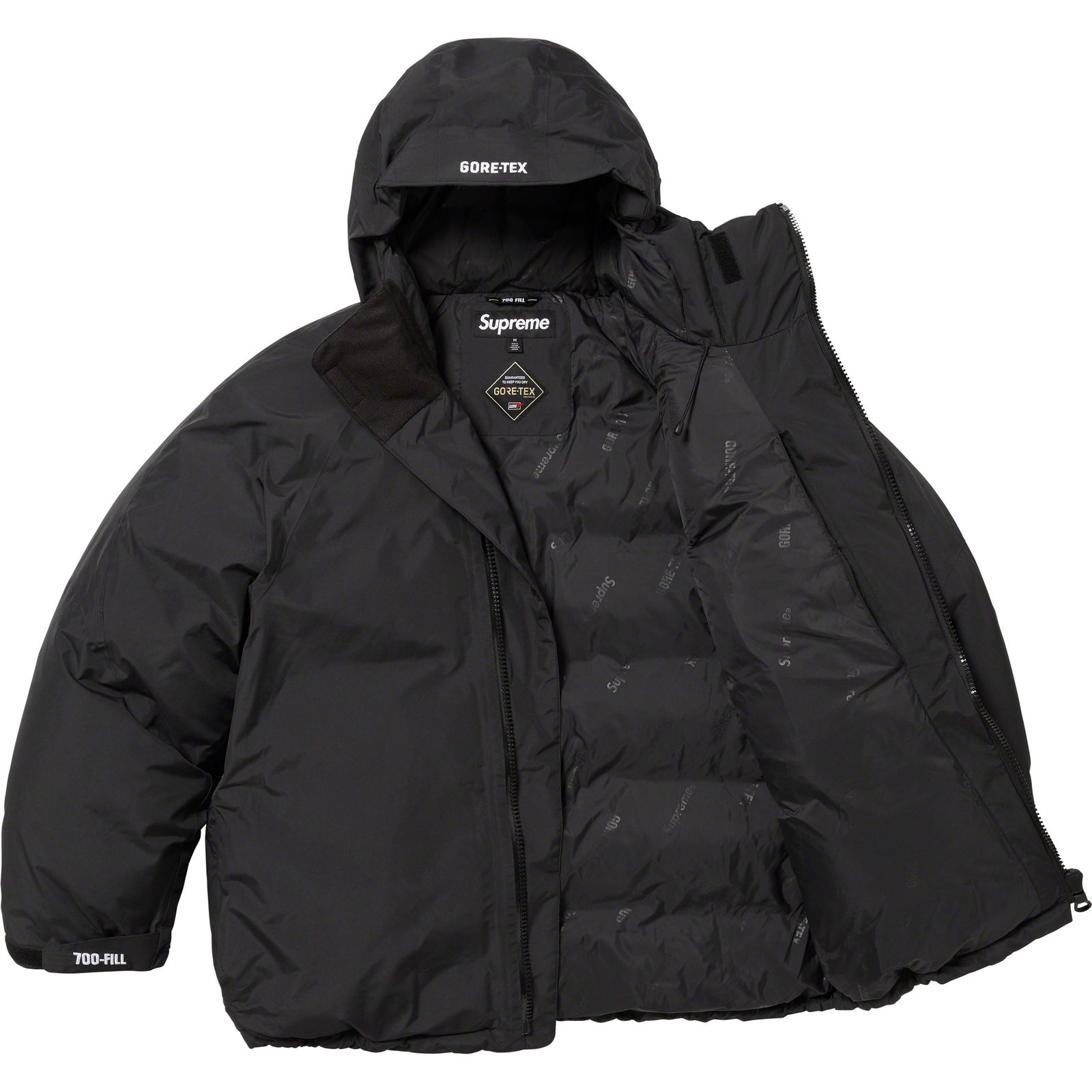 GORE-TEX 700-Fill Down Parka