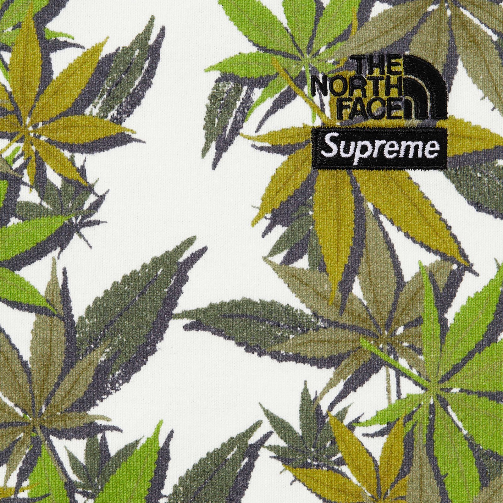 Supreme®/The North Face® Leaf S/S Top