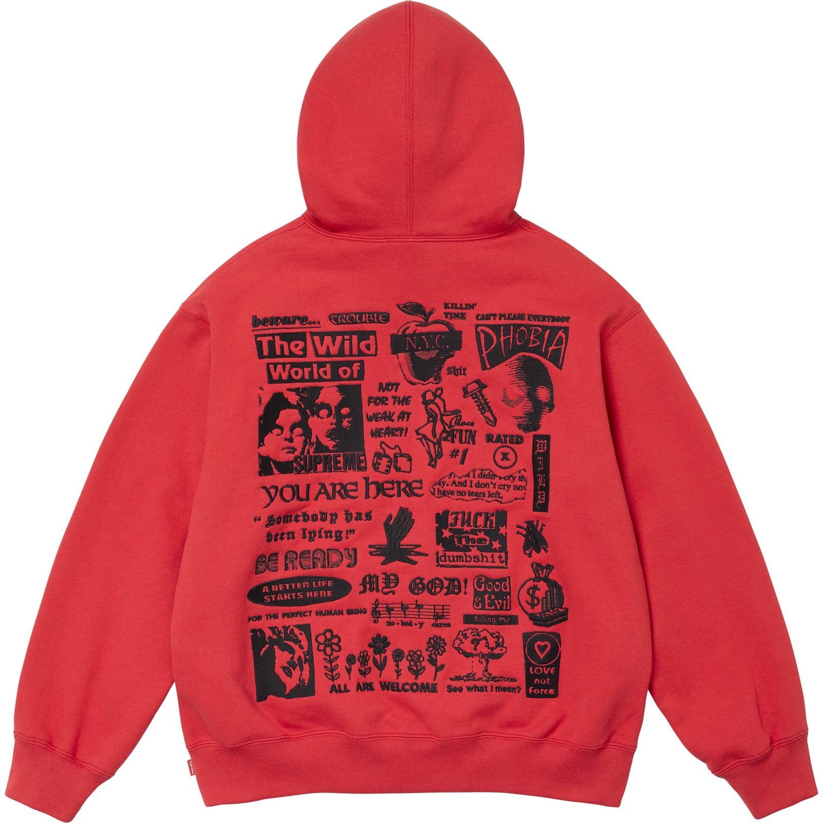 Wild Embroidered Hooded Sweatshirt