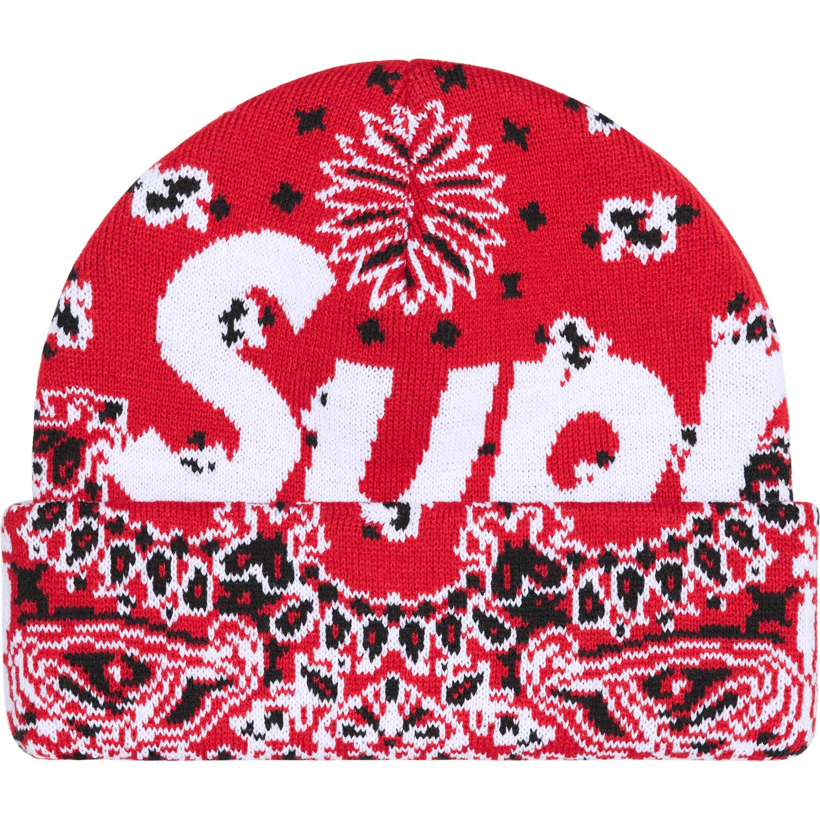 Big Logo Beanie