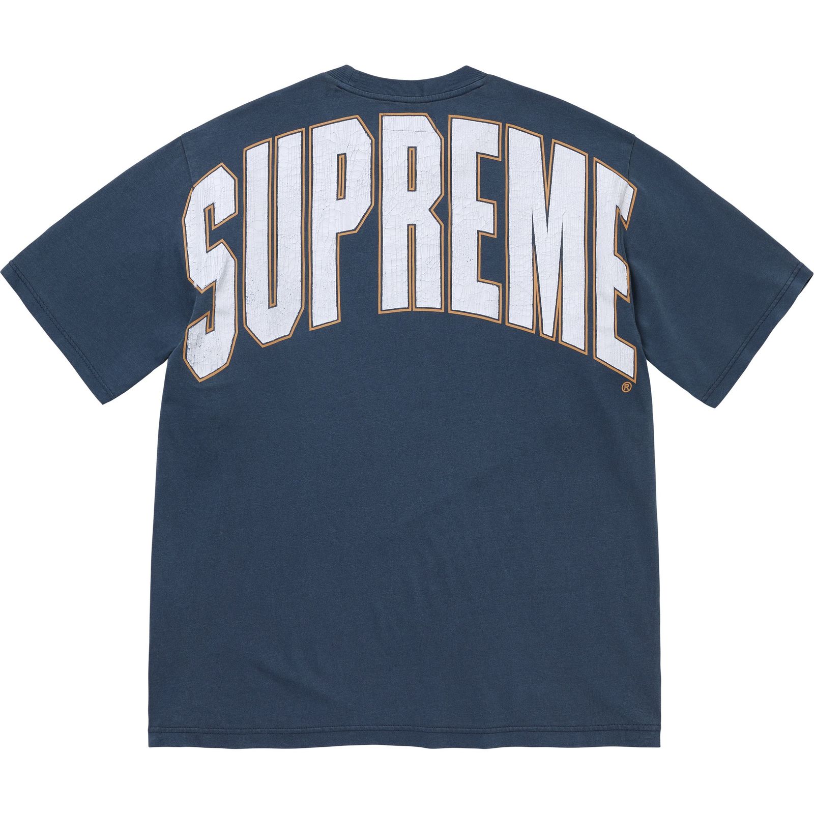 Cracked Back Arc S/S Top