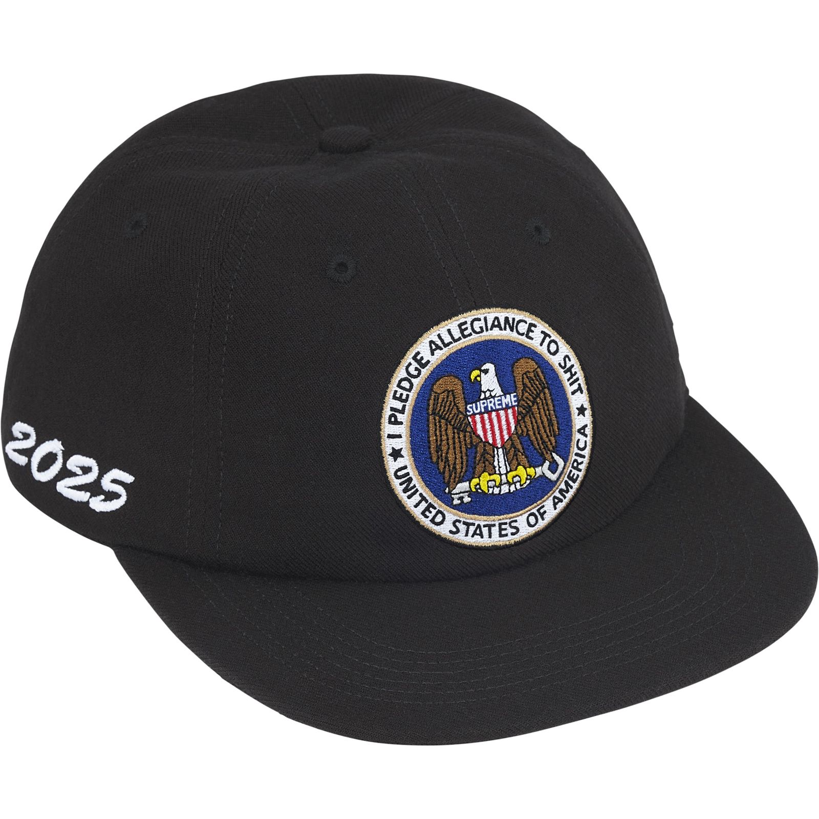 Pledge Allegiance 6-Panel