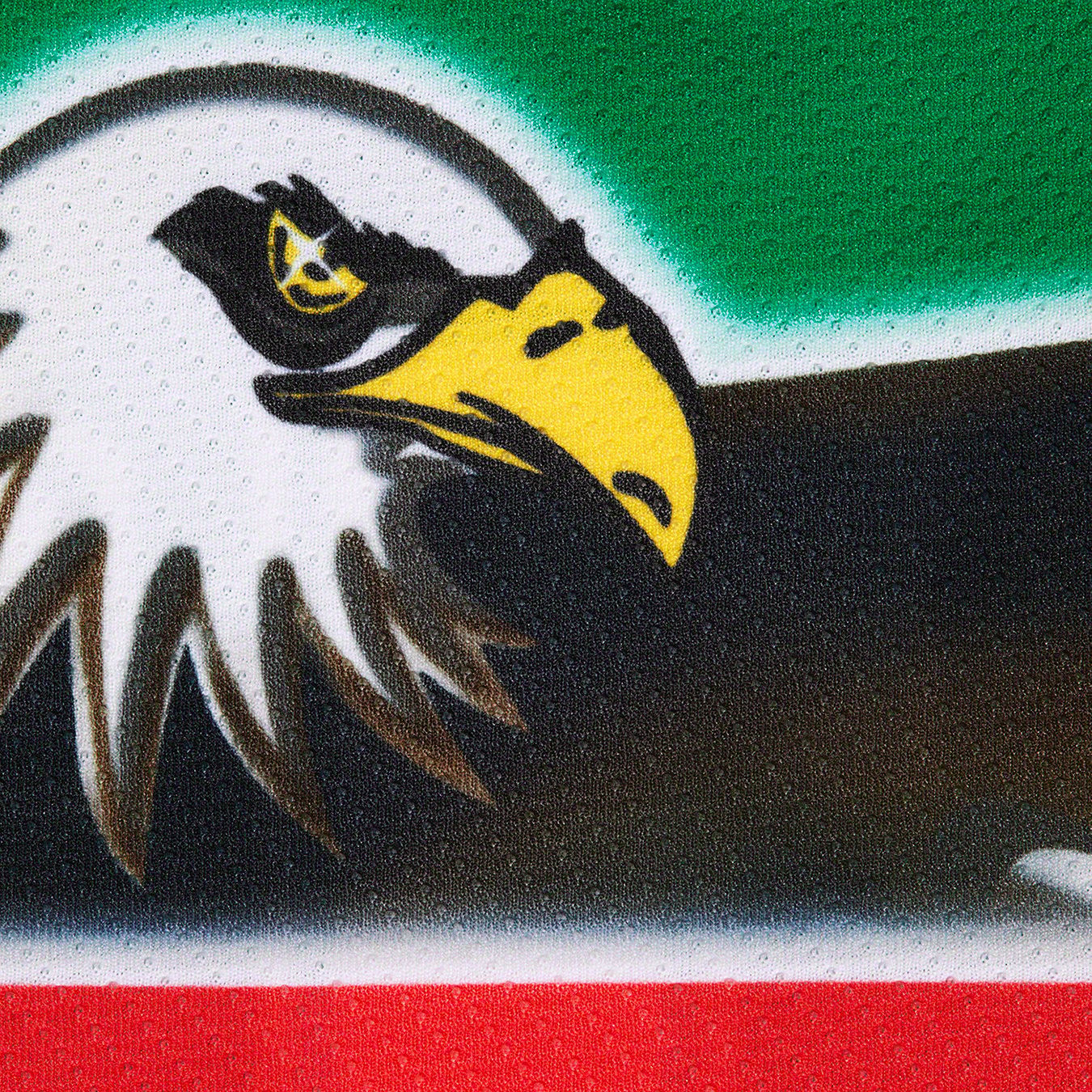Eagle Hockey Jersey