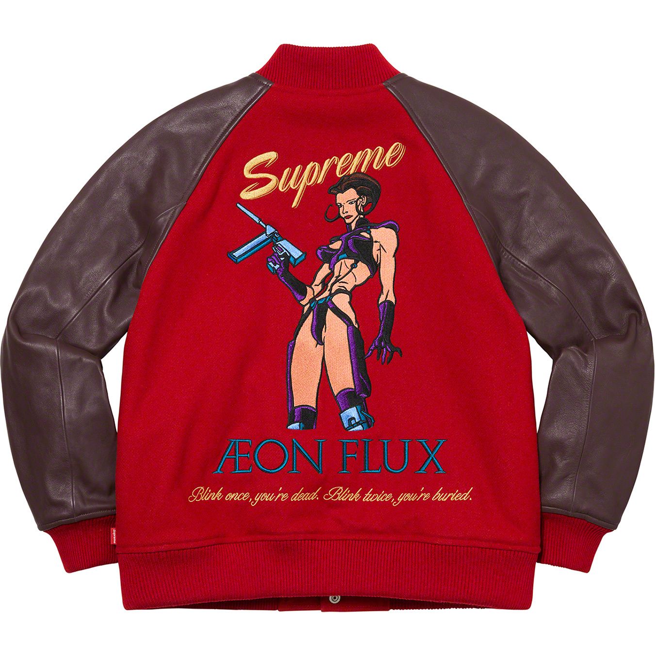 Aeon Flux Varsity Jacket