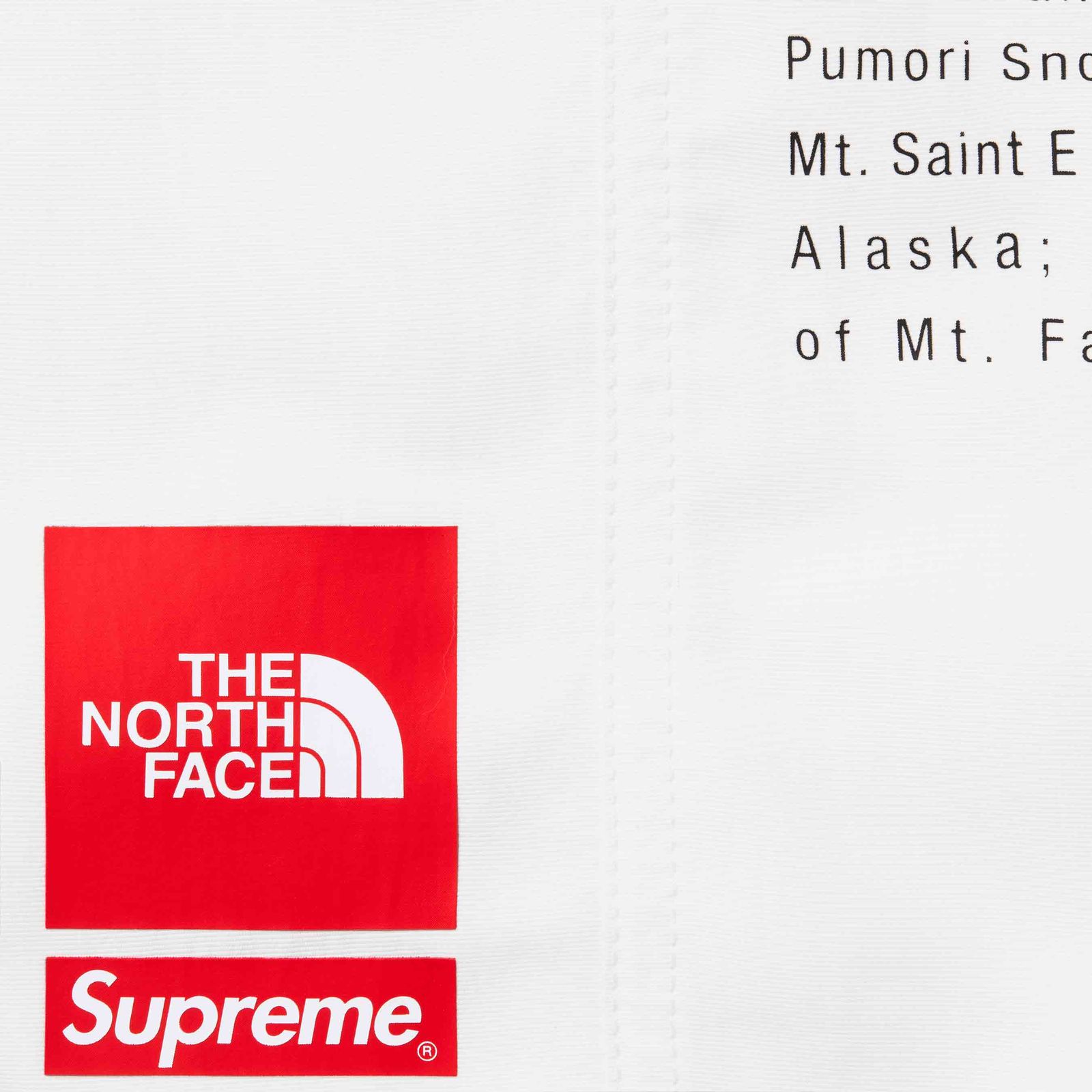 Supreme®/The North Face® Nylon Short