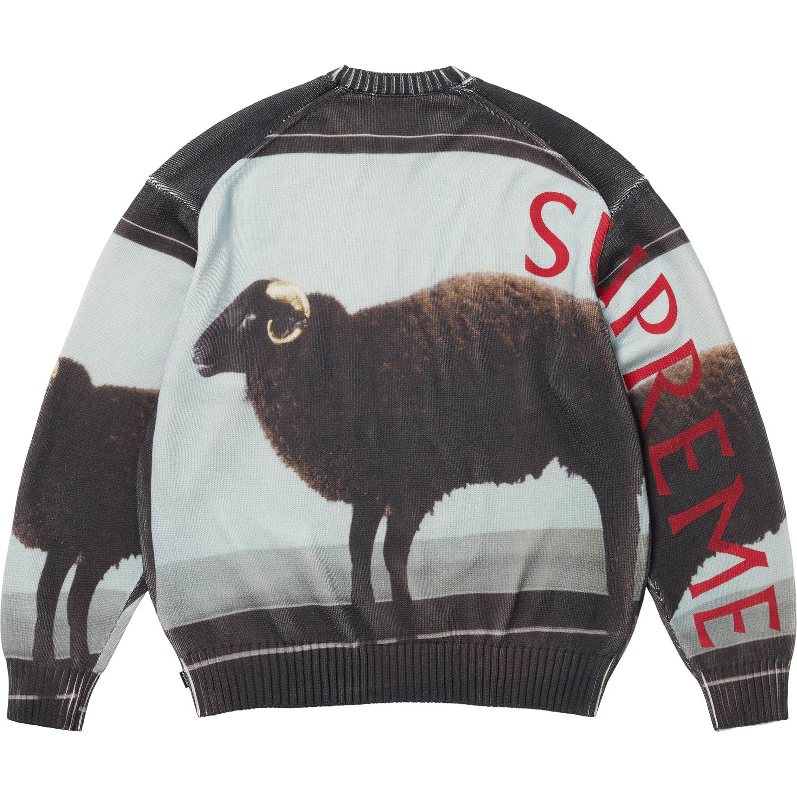 Supreme/Damien Hirst Sweater