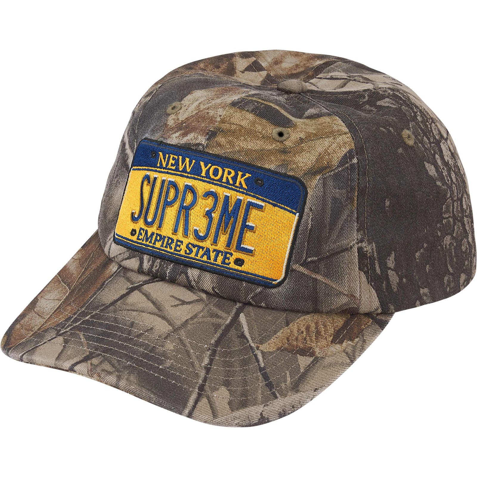 License Plate 6-Panel