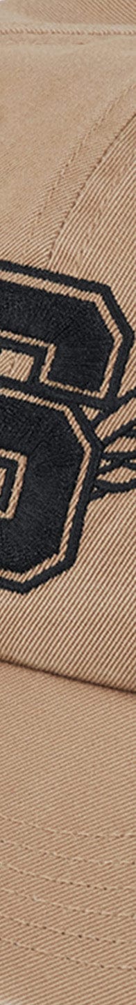 Wings Logo 6-Panel