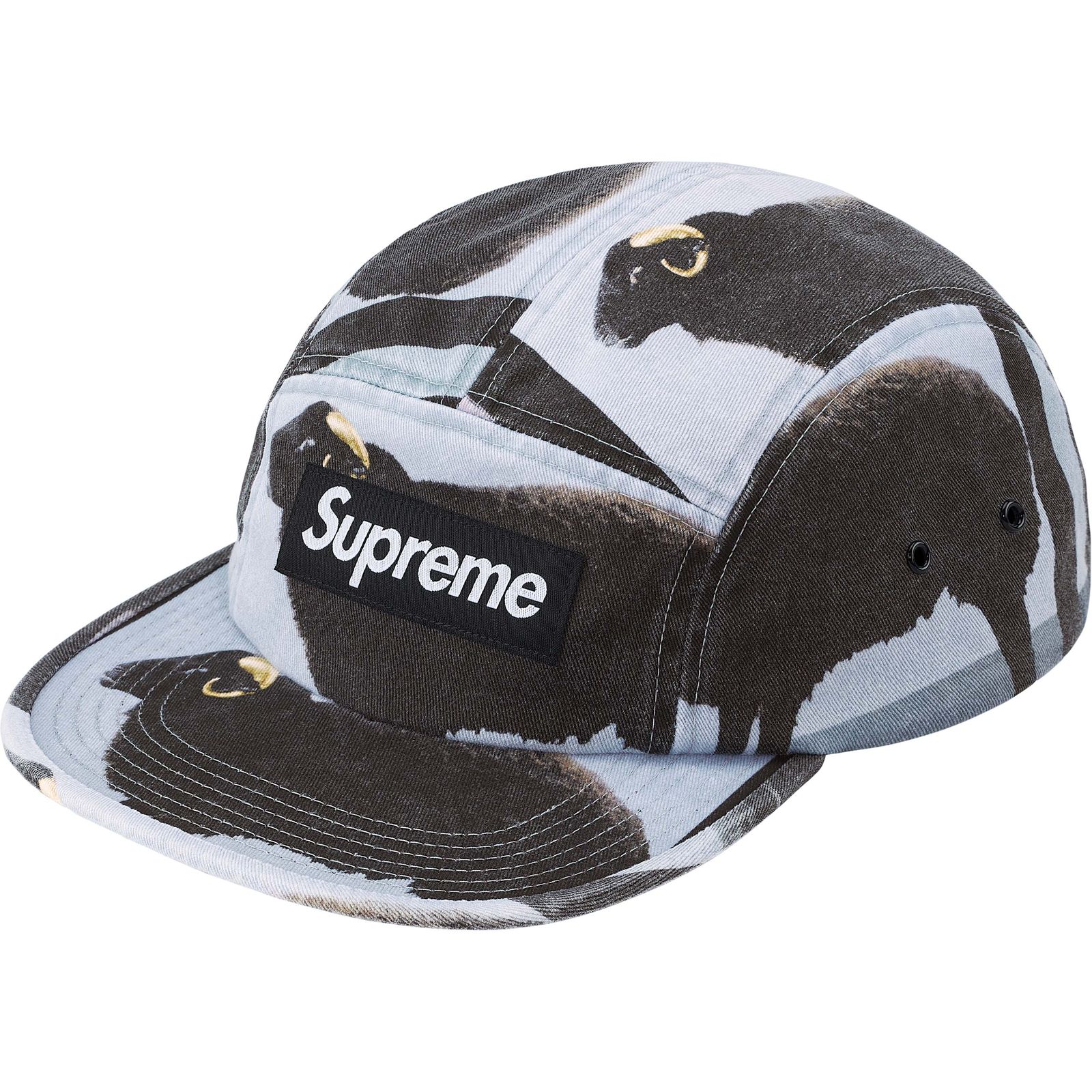 Supreme/Damien Hirst Camp Cap