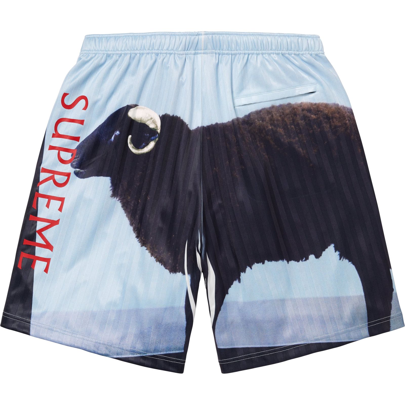 Supreme/Damien Hirst Soccer Short