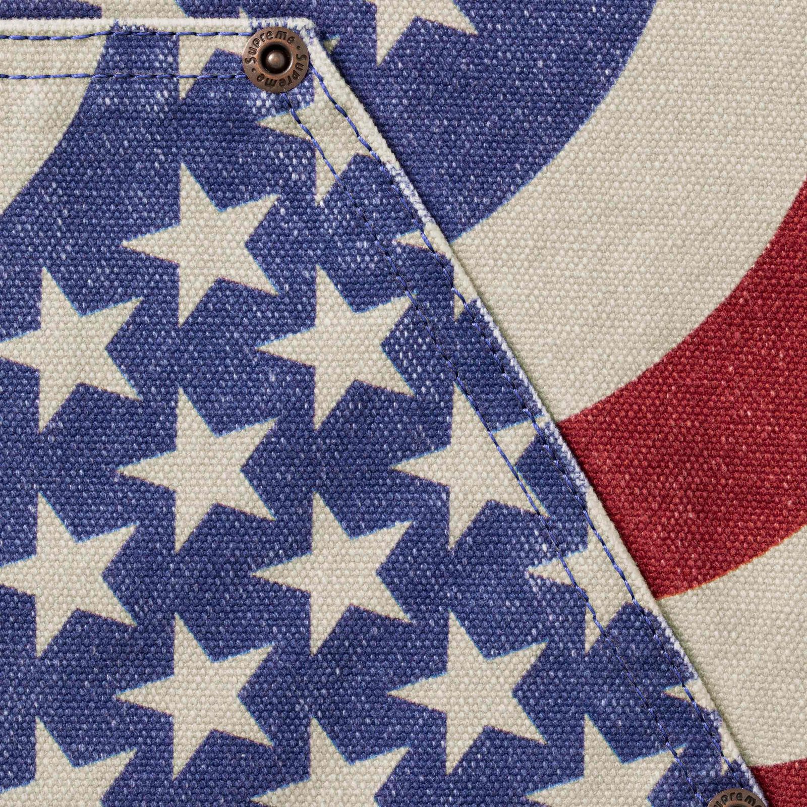Flag Double Knee Painter Pant