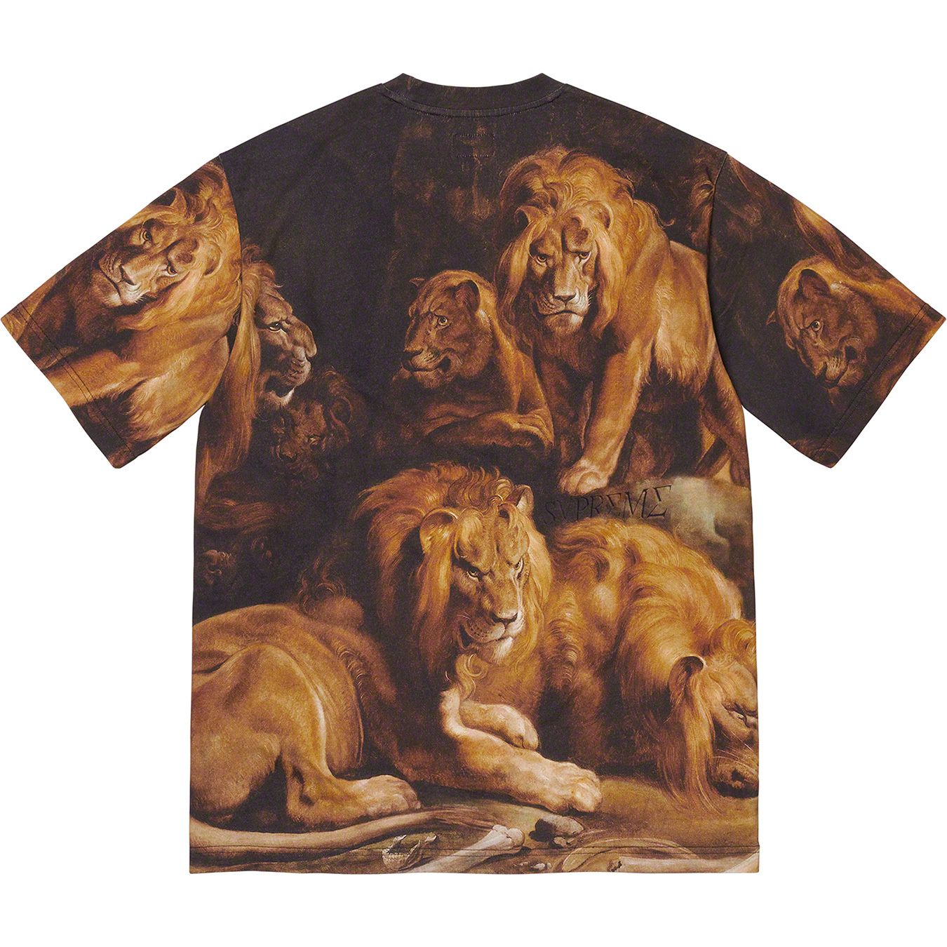 Lions' Den S/S Top