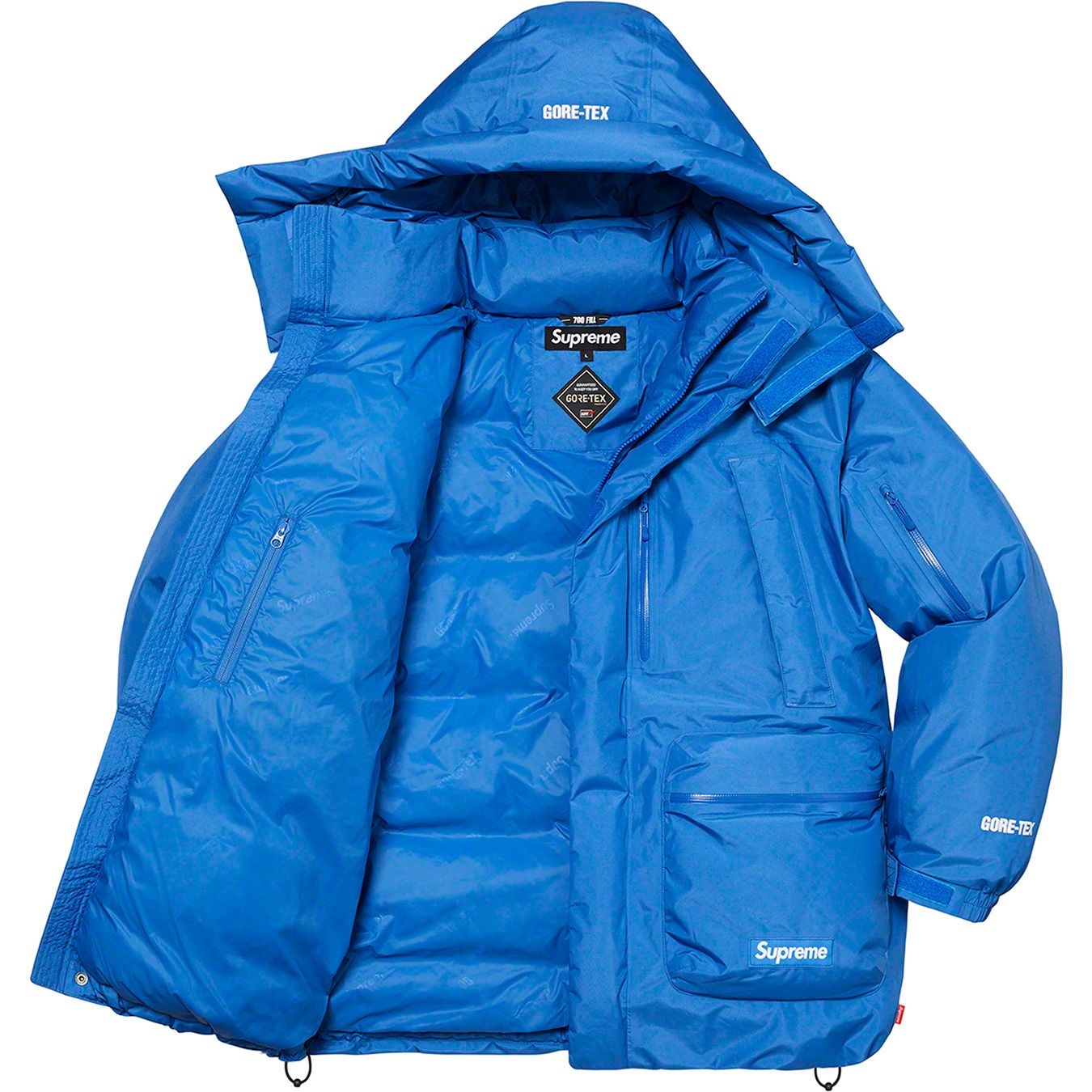 GORE-TEX 700-Fill Down Parka