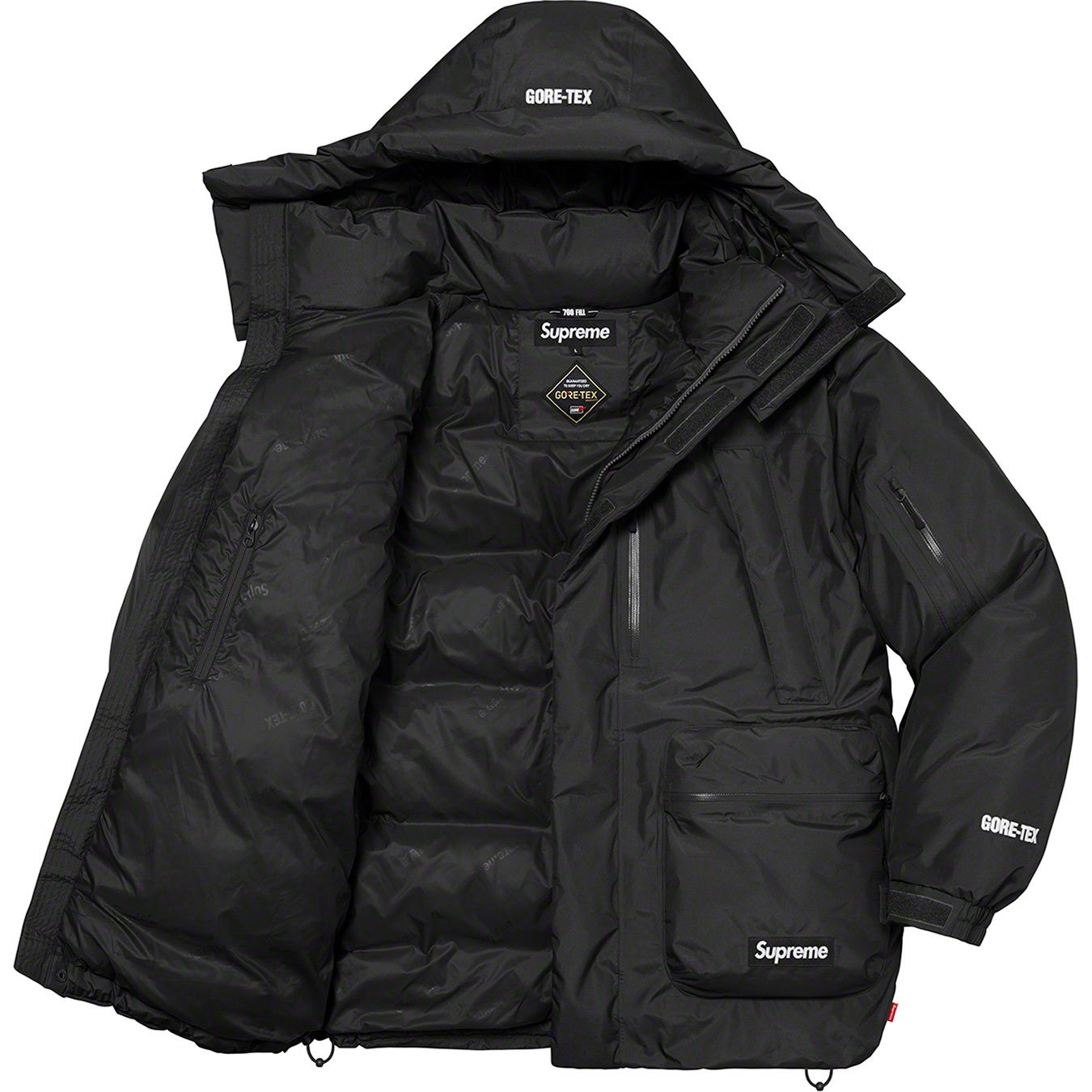 GORE-TEX 700-Fill Down Parka