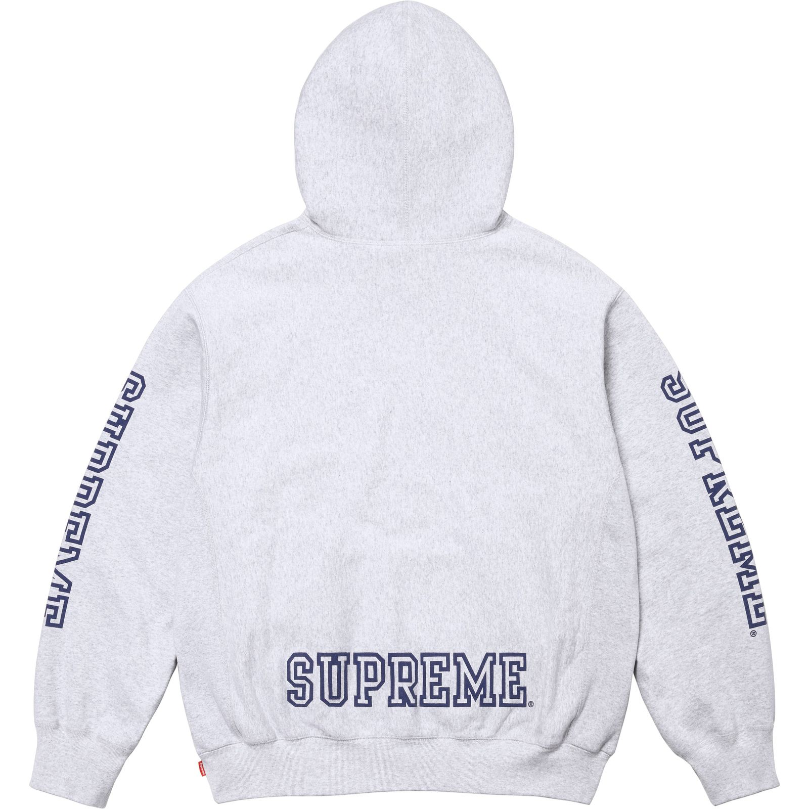 Collegiate Sleeve Hooded Sweatshirt