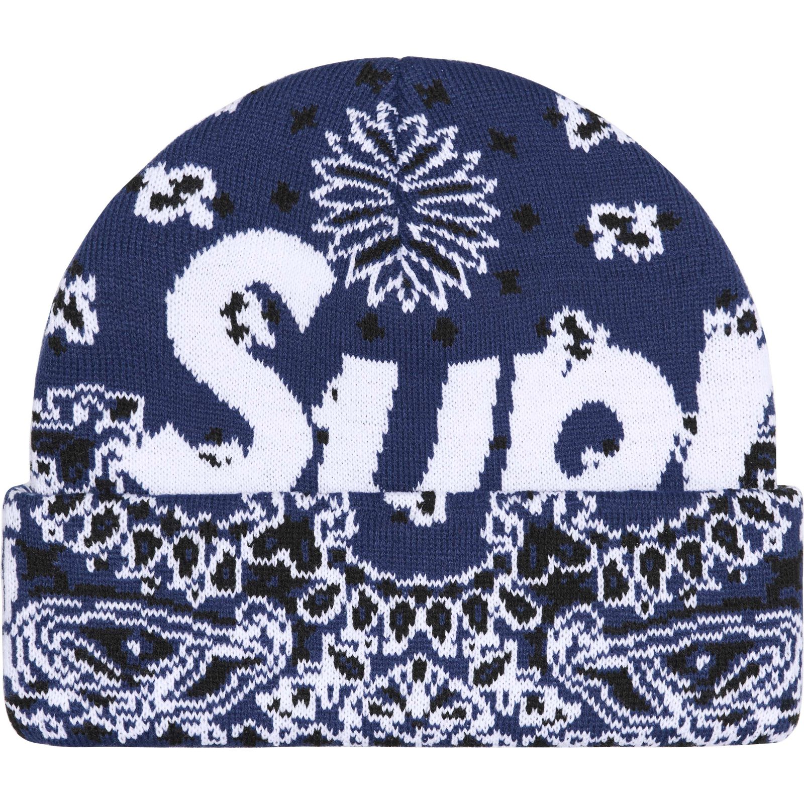 Big Logo Beanie