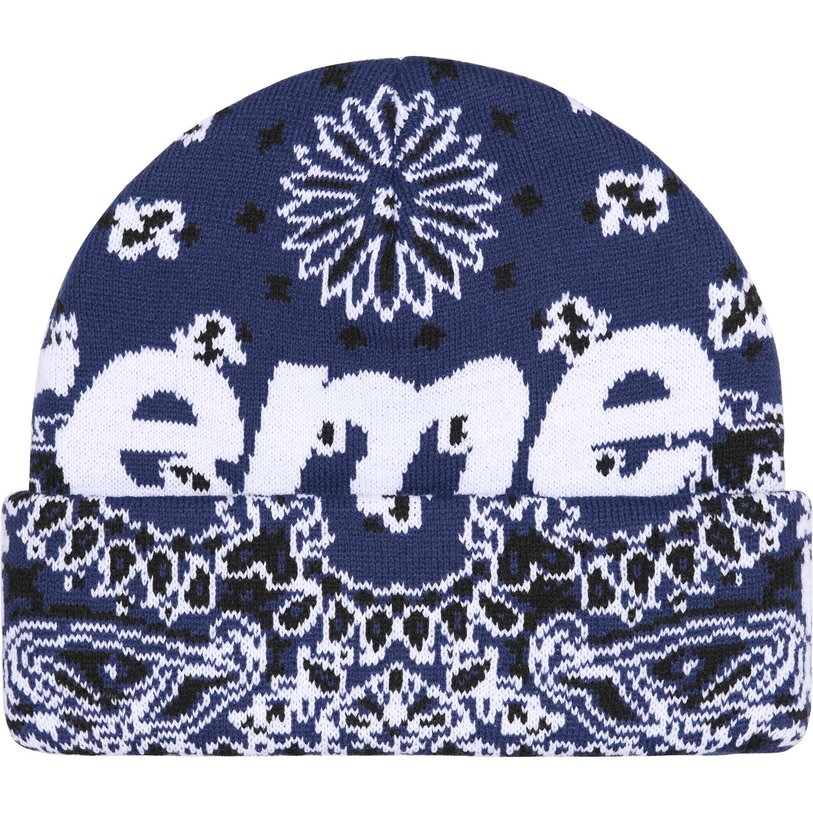Big Logo Beanie