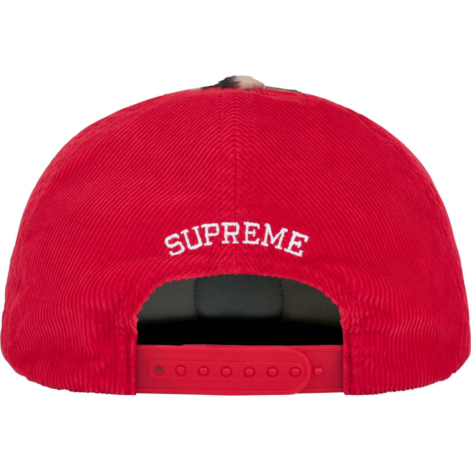 Tiger 5-Panel