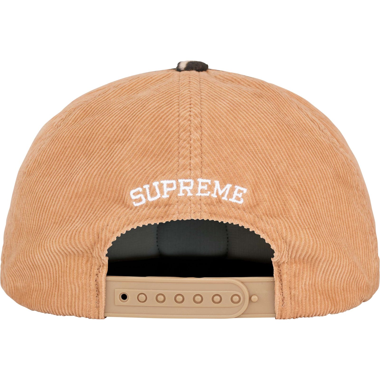 Tiger 5-Panel
